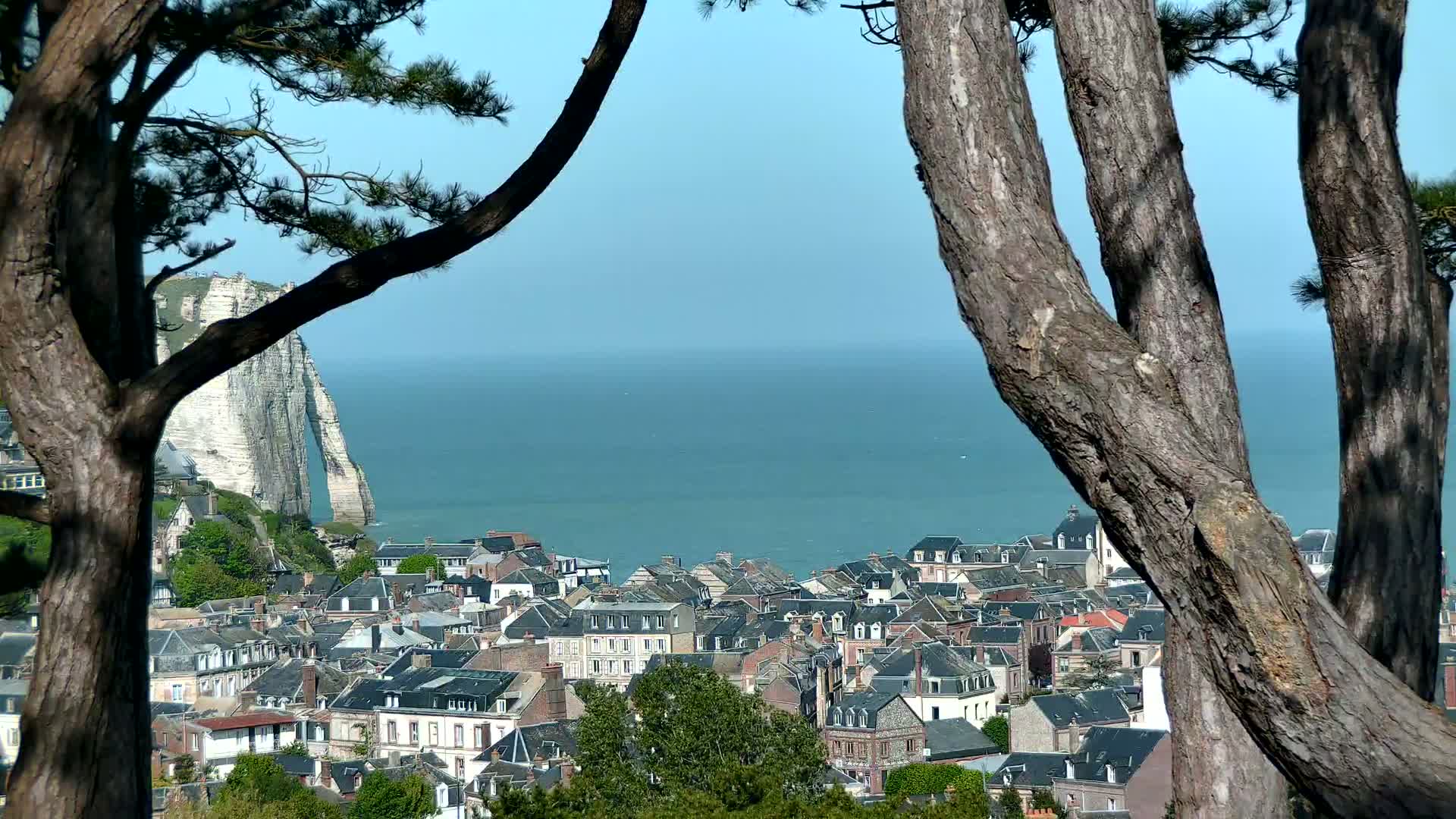 A coastal town with dark-roofed buildings nestles beneath a towering white cliff, viewed through the branches of pine trees on a clear, sunny day.