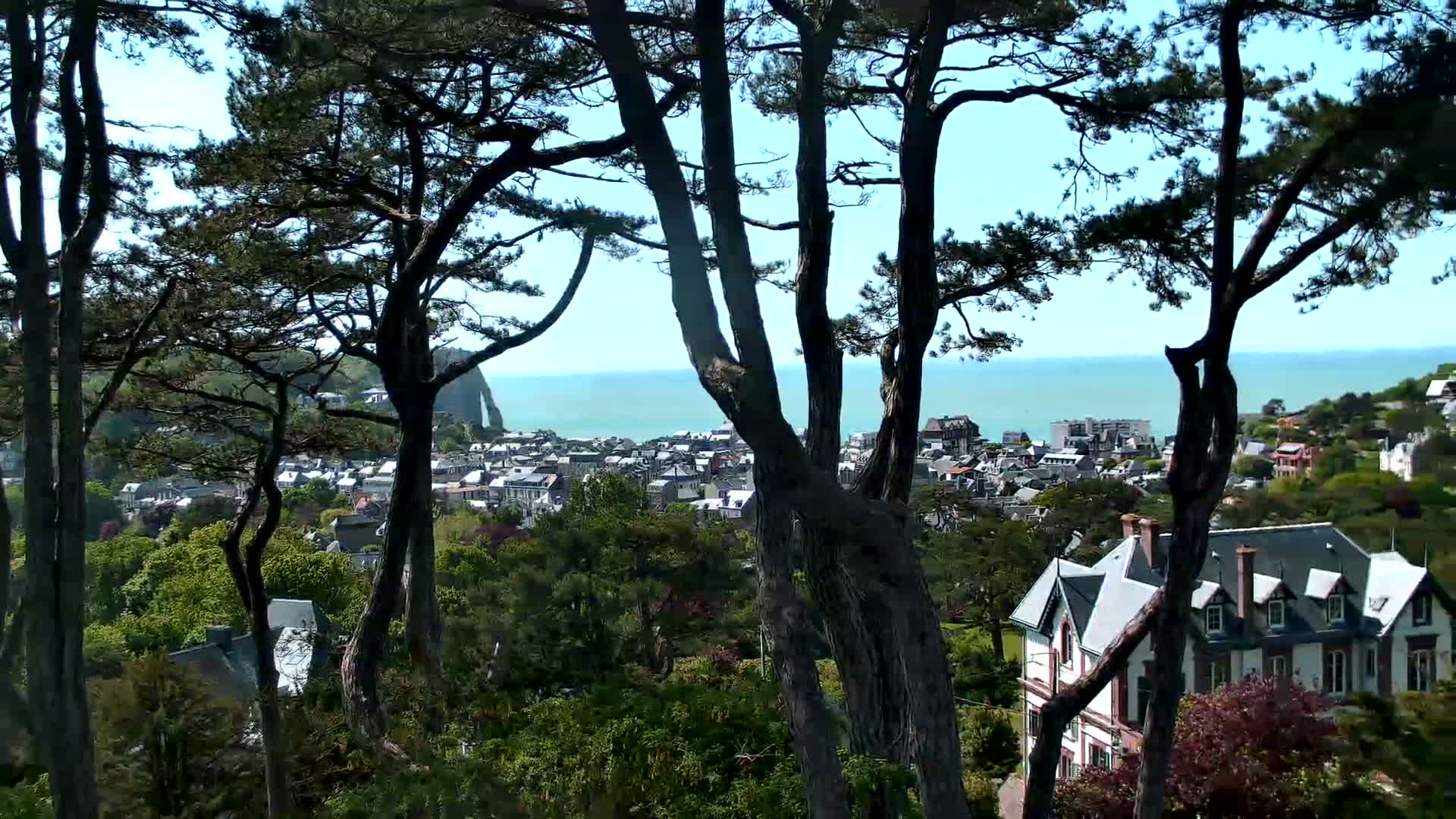 A coastal town with white buildings is visible through the branches of dark pine trees on a clear, sunny day.