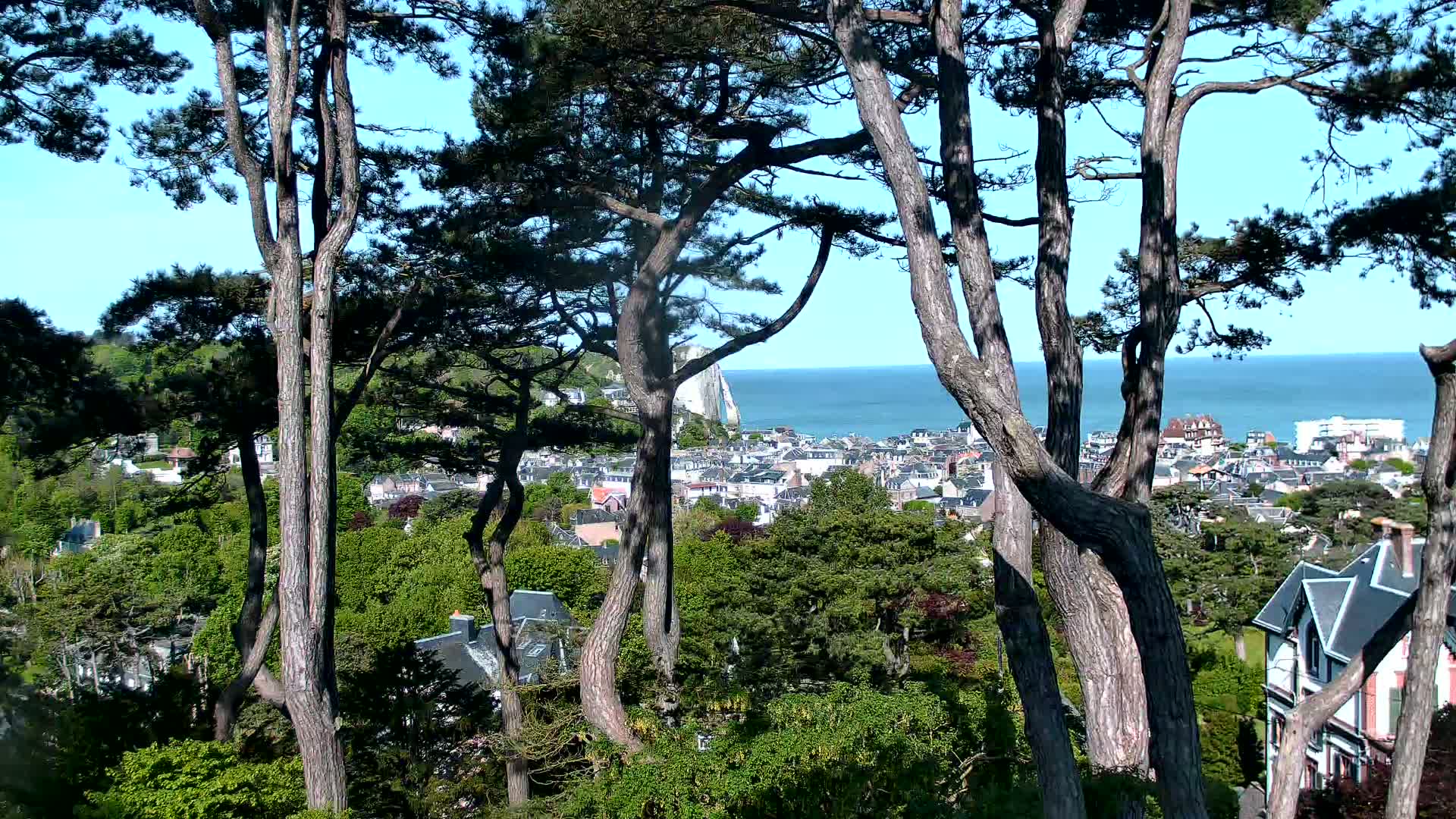 Tall pine trees frame a view of a coastal town, a calm ocean, and a distant white cliff on a sunny day.