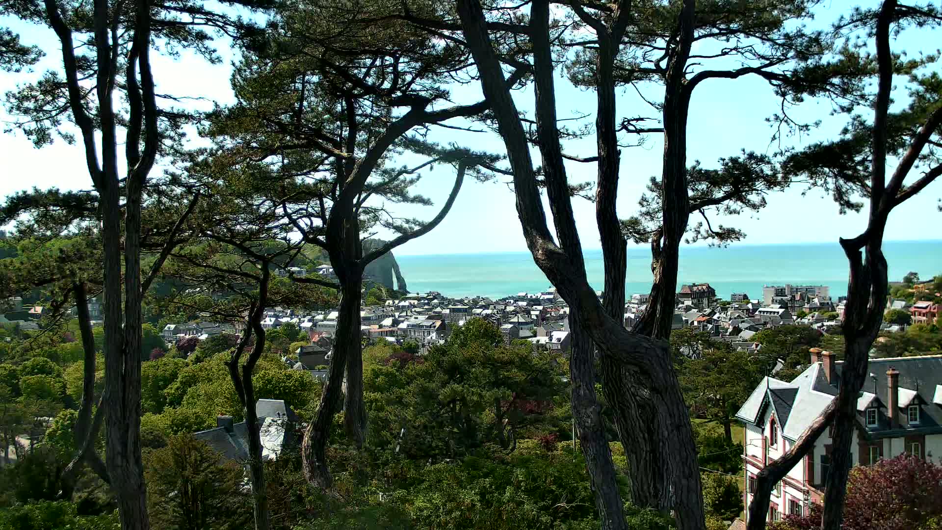A coastal town is visible beyond a stand of pine trees on a sunny day, with a calm ocean in the background.