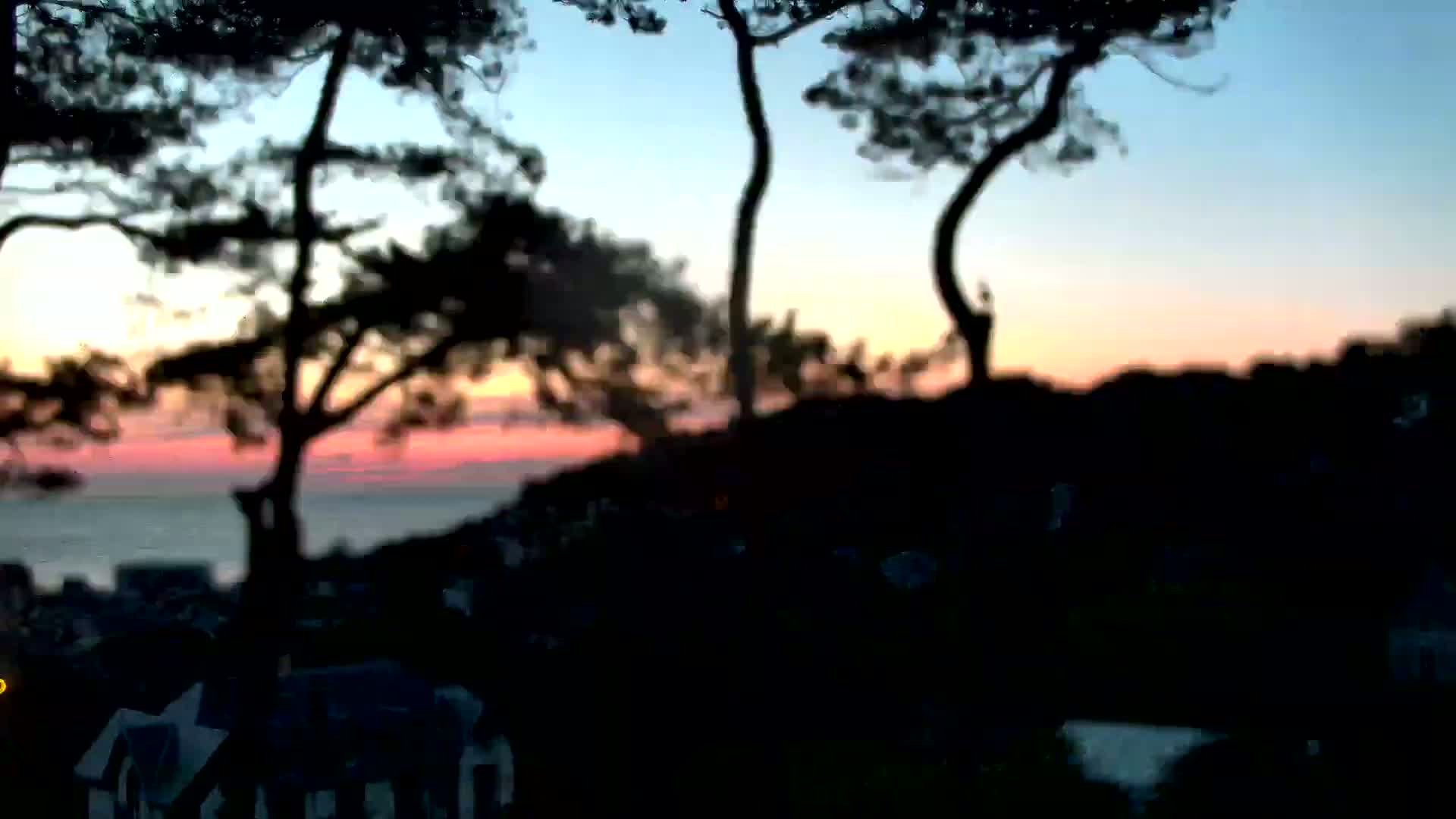 Silhouetted trees stand against a sunset over a calm body of water and a distant town.