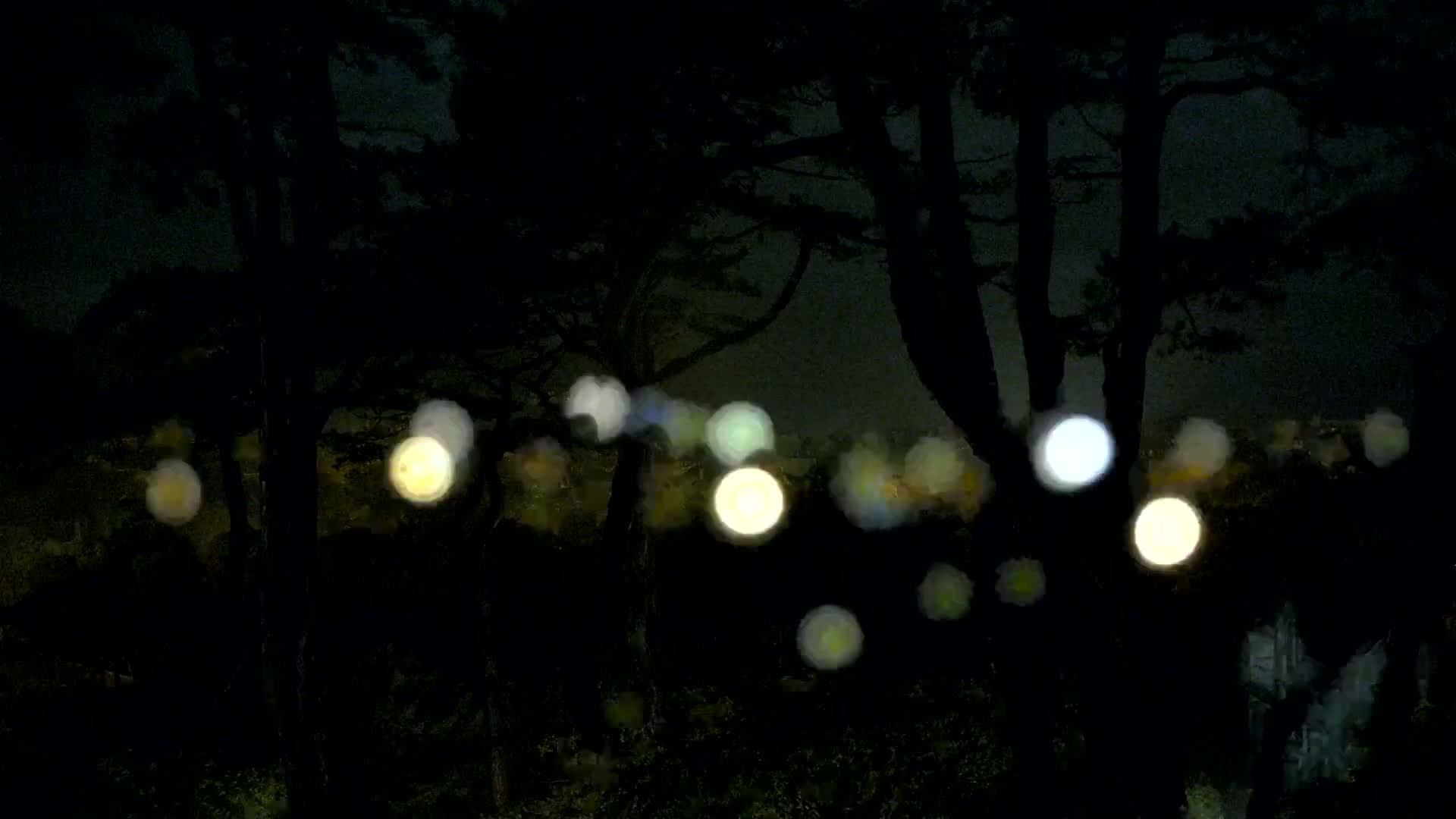 Silhouetted trees at night obscure a blurry view of out-of-focus city lights in the rain.