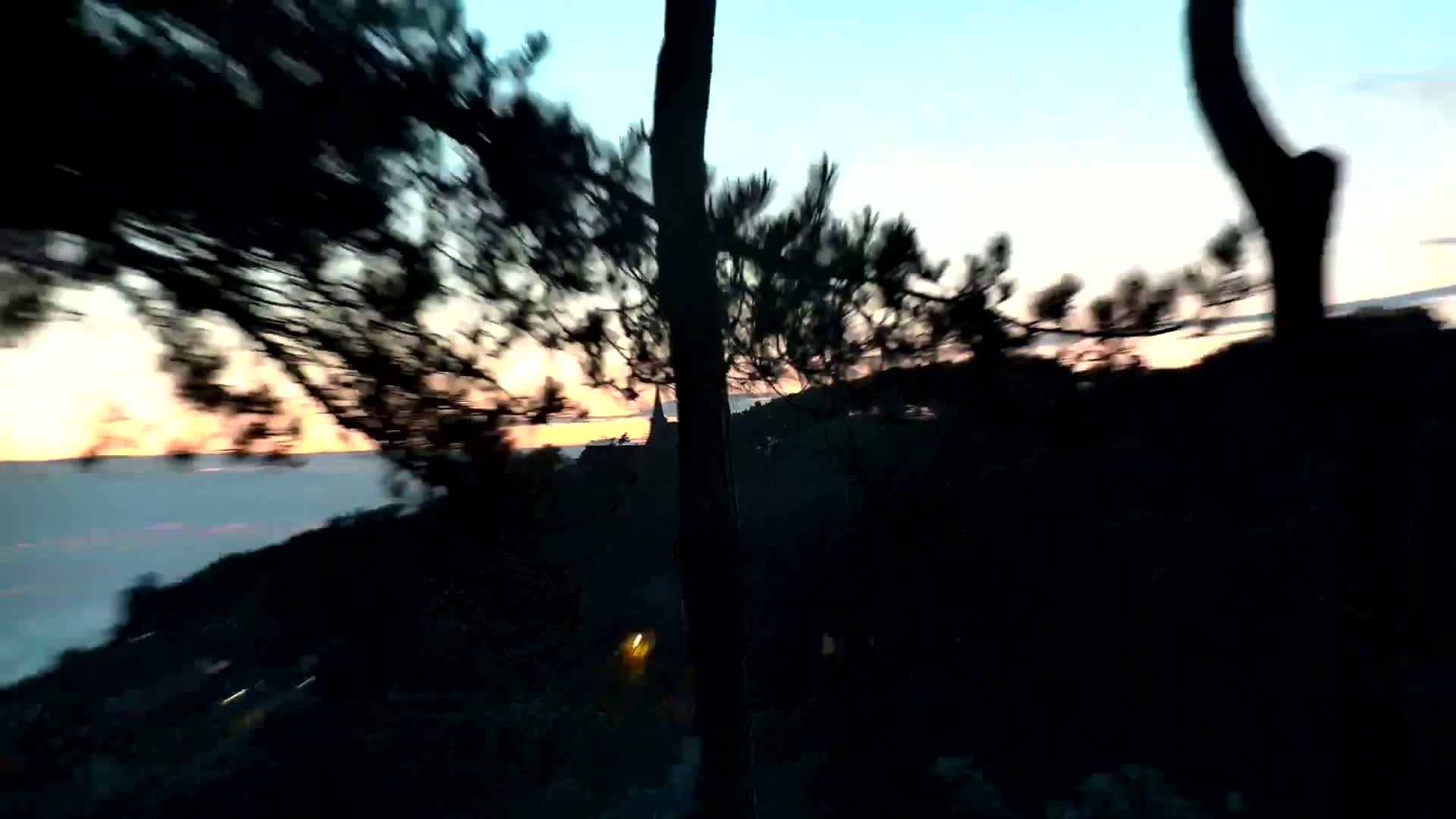 Silhouetted trees and a distant structure are visible during a sunset with a hazy sky.