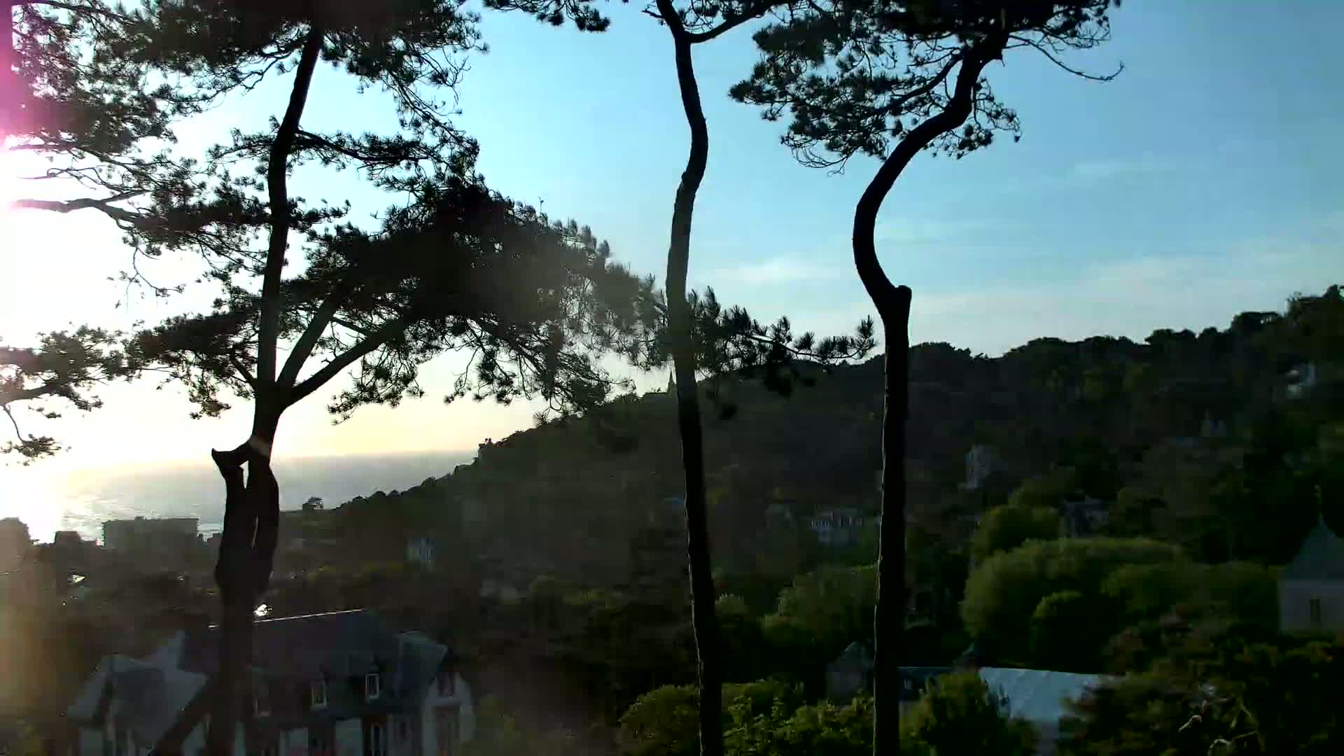 Silhouetted pine trees frame a view of a coastal town nestled into a hillside at sunset under a clear sky.