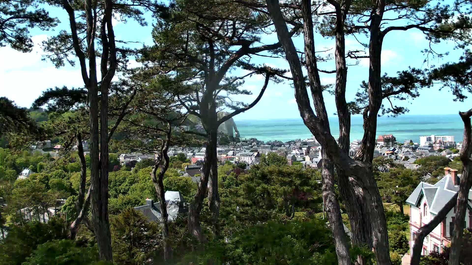 A coastal town with white buildings nestled among green trees is partially visible through the trunks of tall pines on a sunny day with a calm ocean in the background.