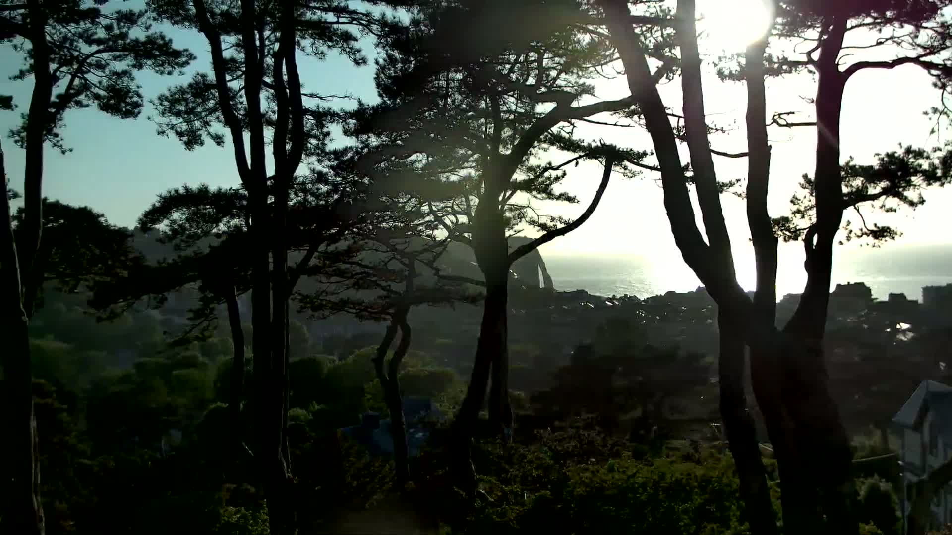 Silhouetted trees stand in the foreground, partially obscuring a view of a coastal town and ocean under a bright, sunny sky.