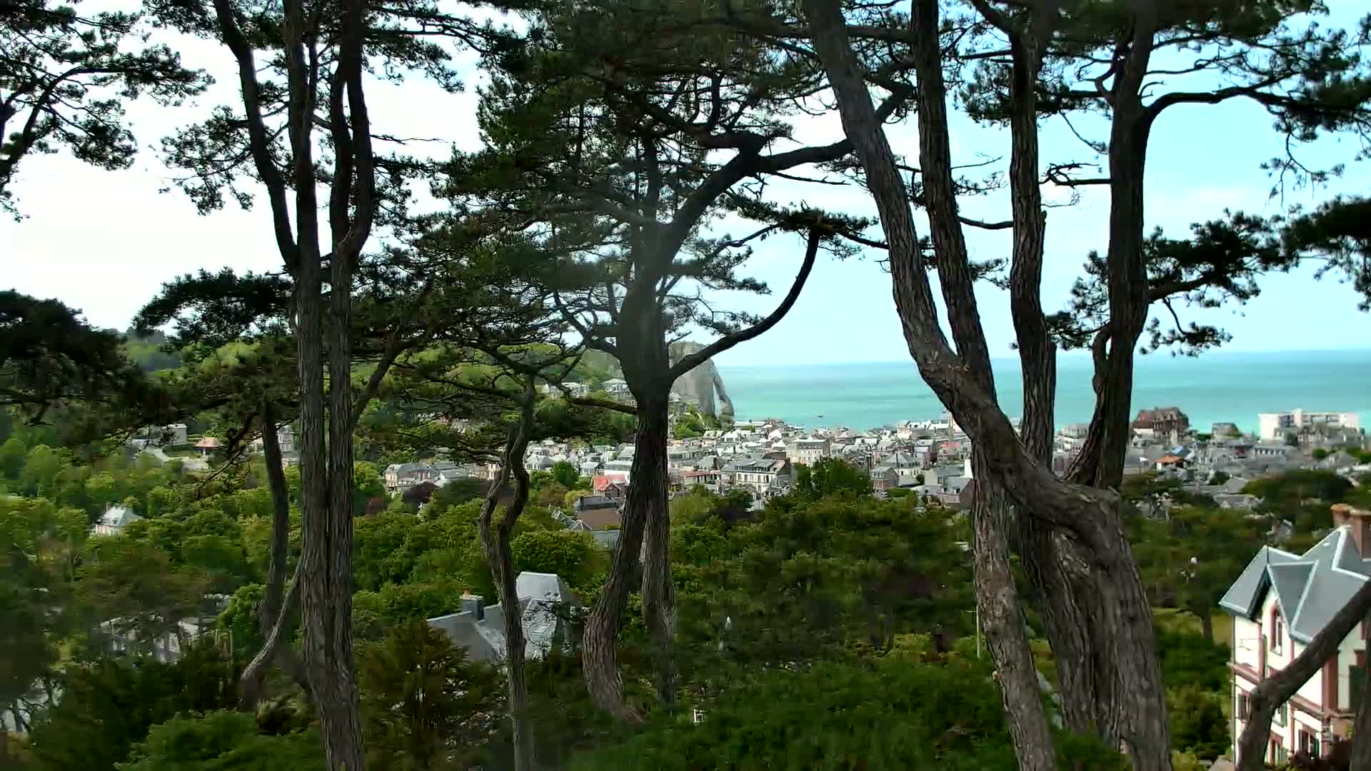 Tall pine trees frame a view of a coastal town nestled among green hills, with a calm ocean and a distant cliff visible in the background under a clear sky.