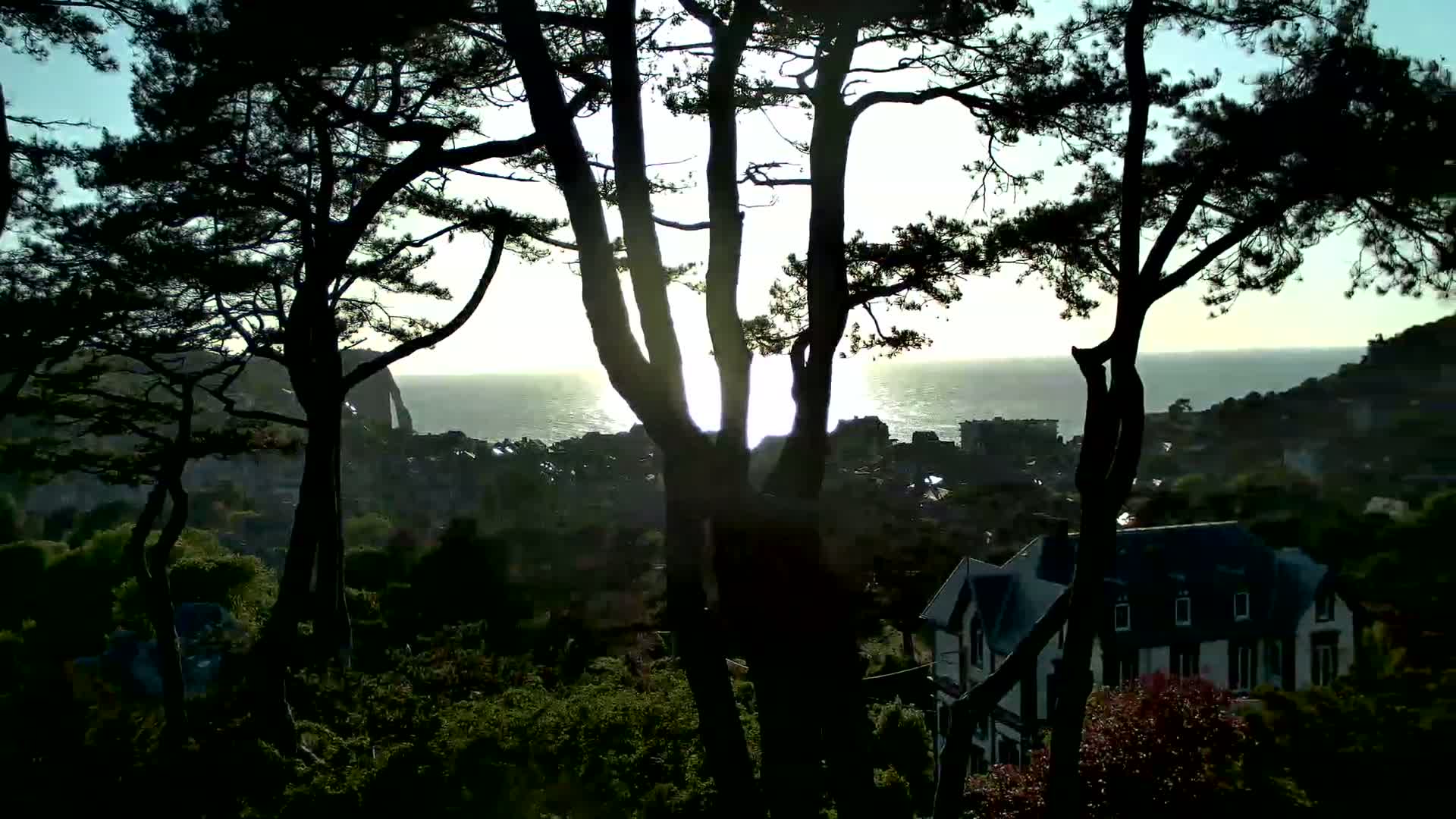 Silhouetted trees frame a sunset over a coastal town and ocean.