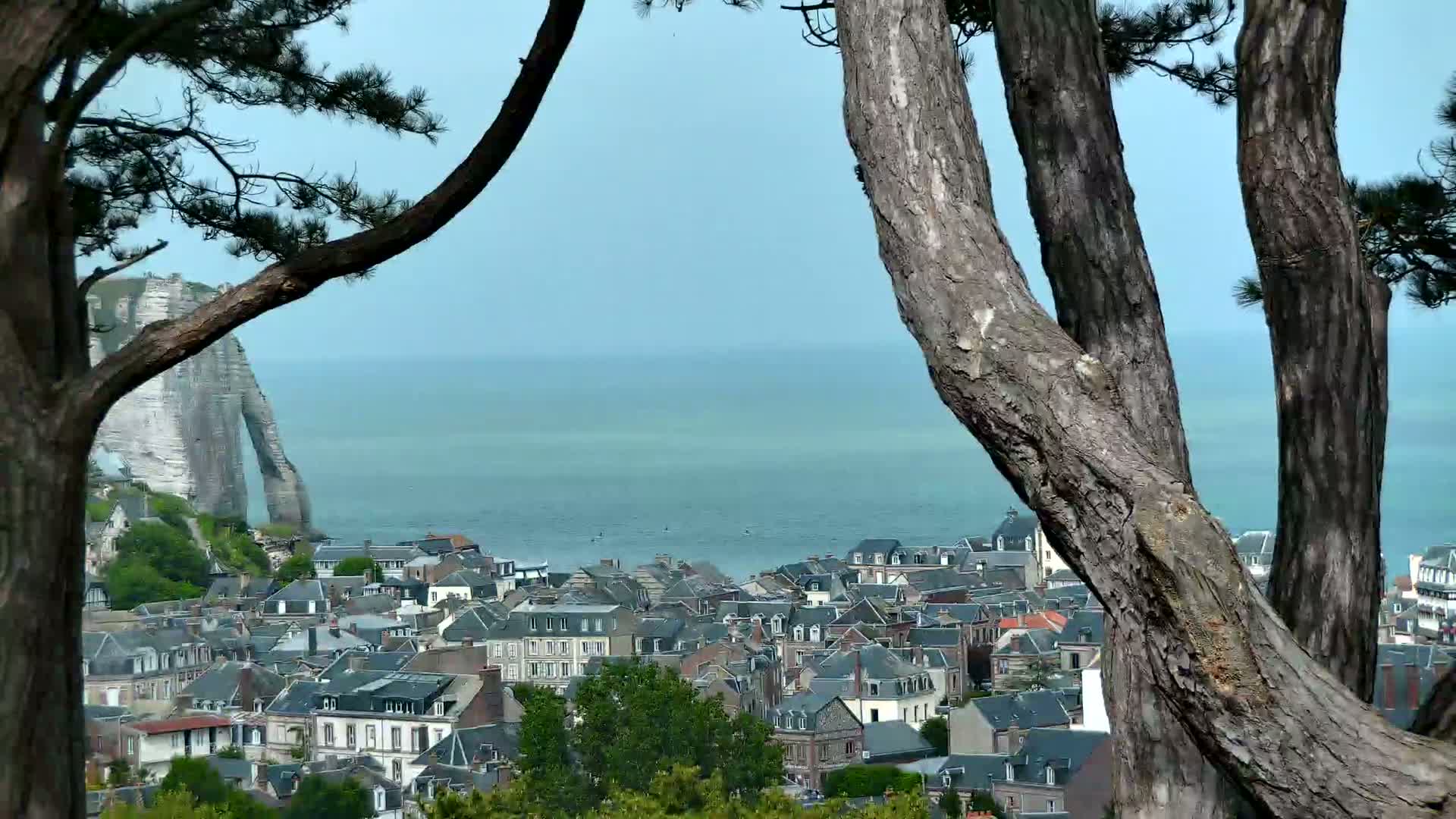 A coastal town with dark-roofed buildings nestles beneath a tall, white cliff overlooking a calm, light-blue sea, partially obscured by the branches of several pine trees.