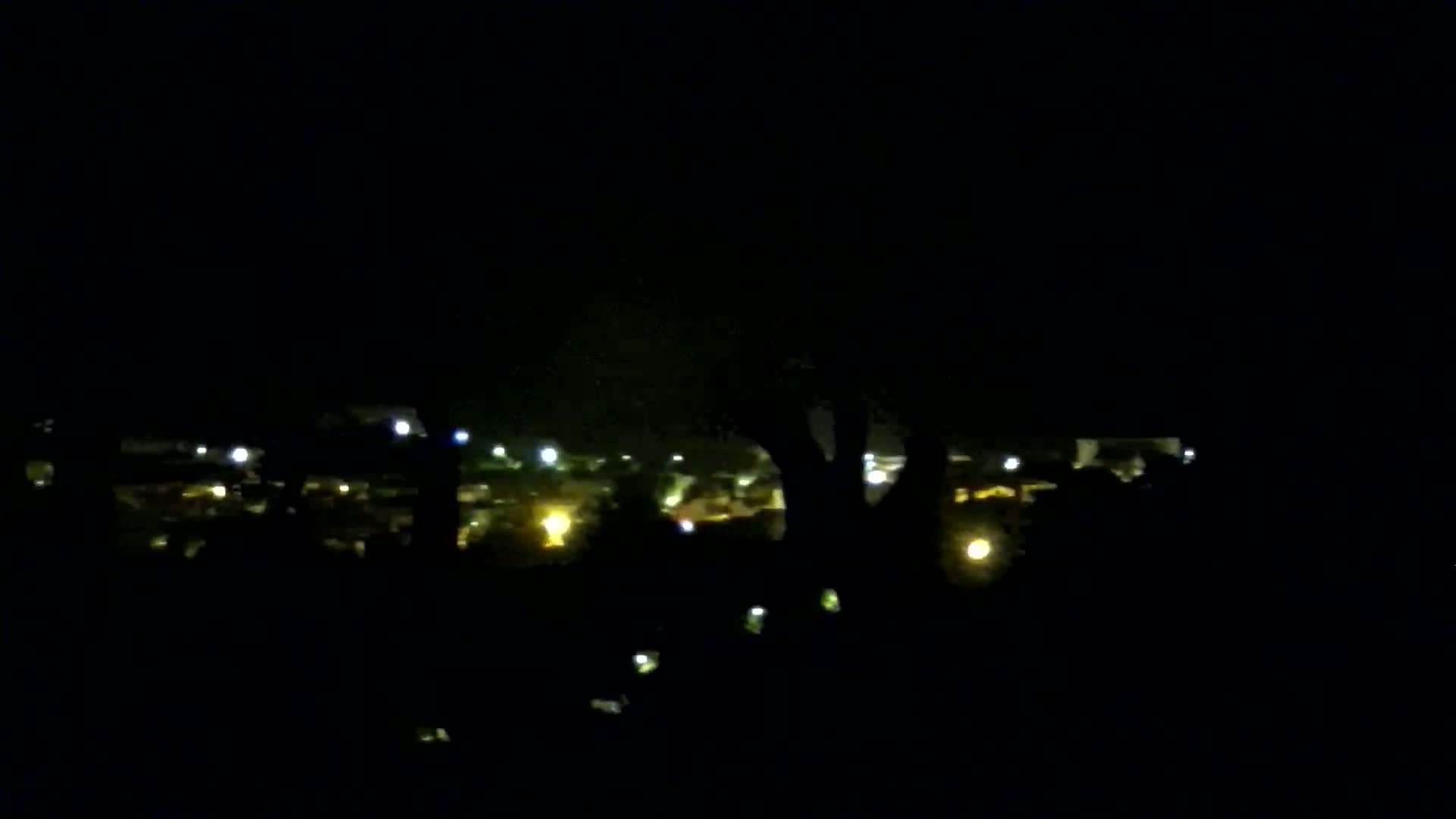 A nighttime view shows a distant town's scattered lights through the silhouettes of dark trees.