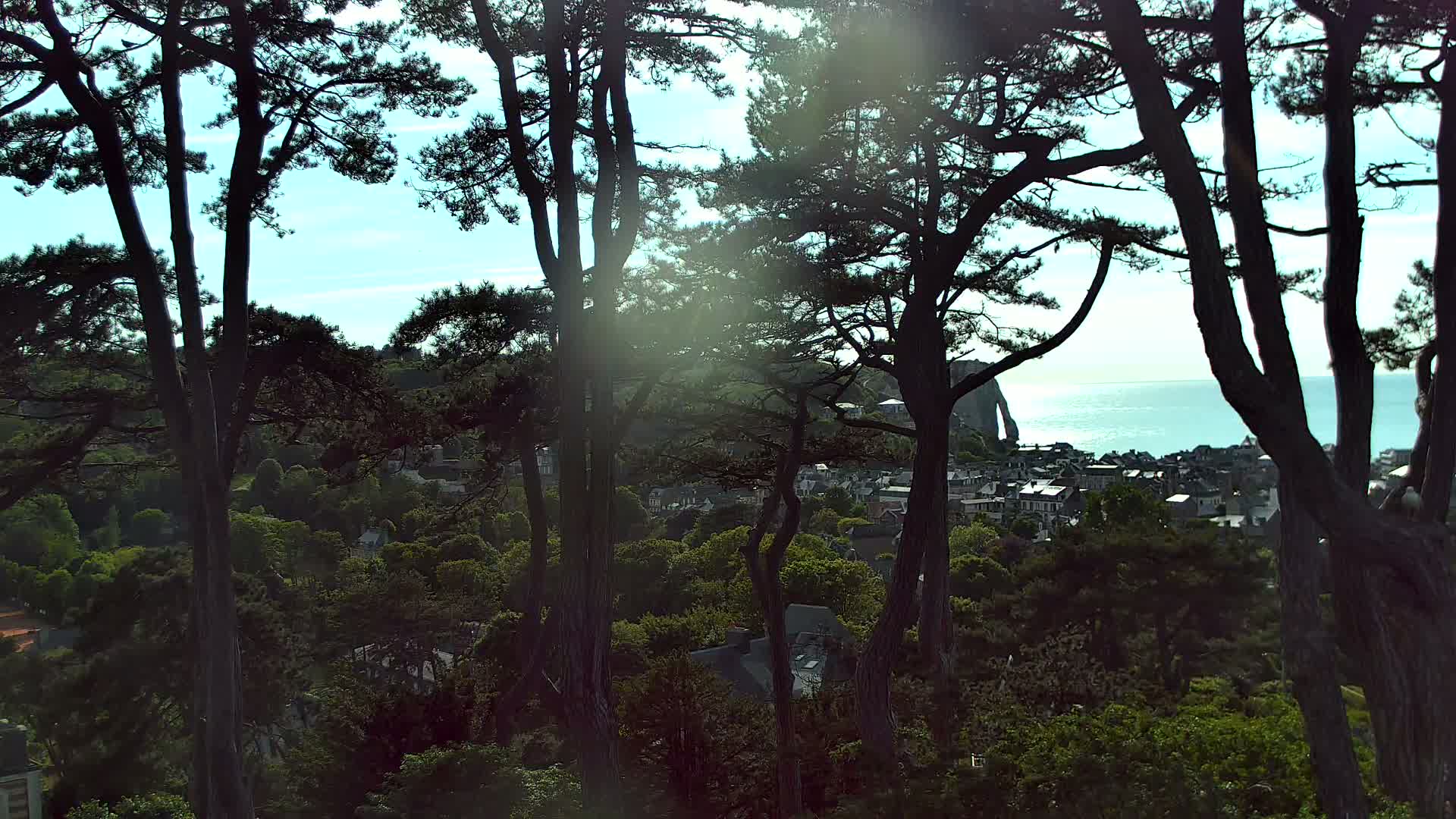 Tall, dark trees frame a view of a coastal town nestled among greenery, with a calm ocean and bright sky visible in the distance.
