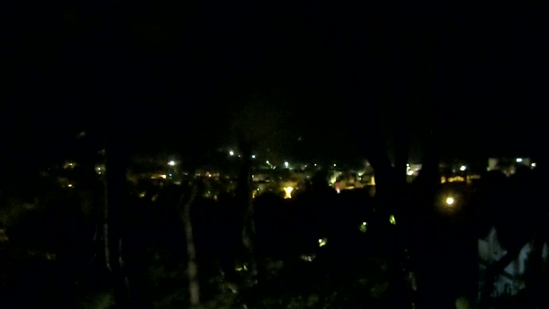A nighttime view of a distant town's scattered lights seen through dark foliage.