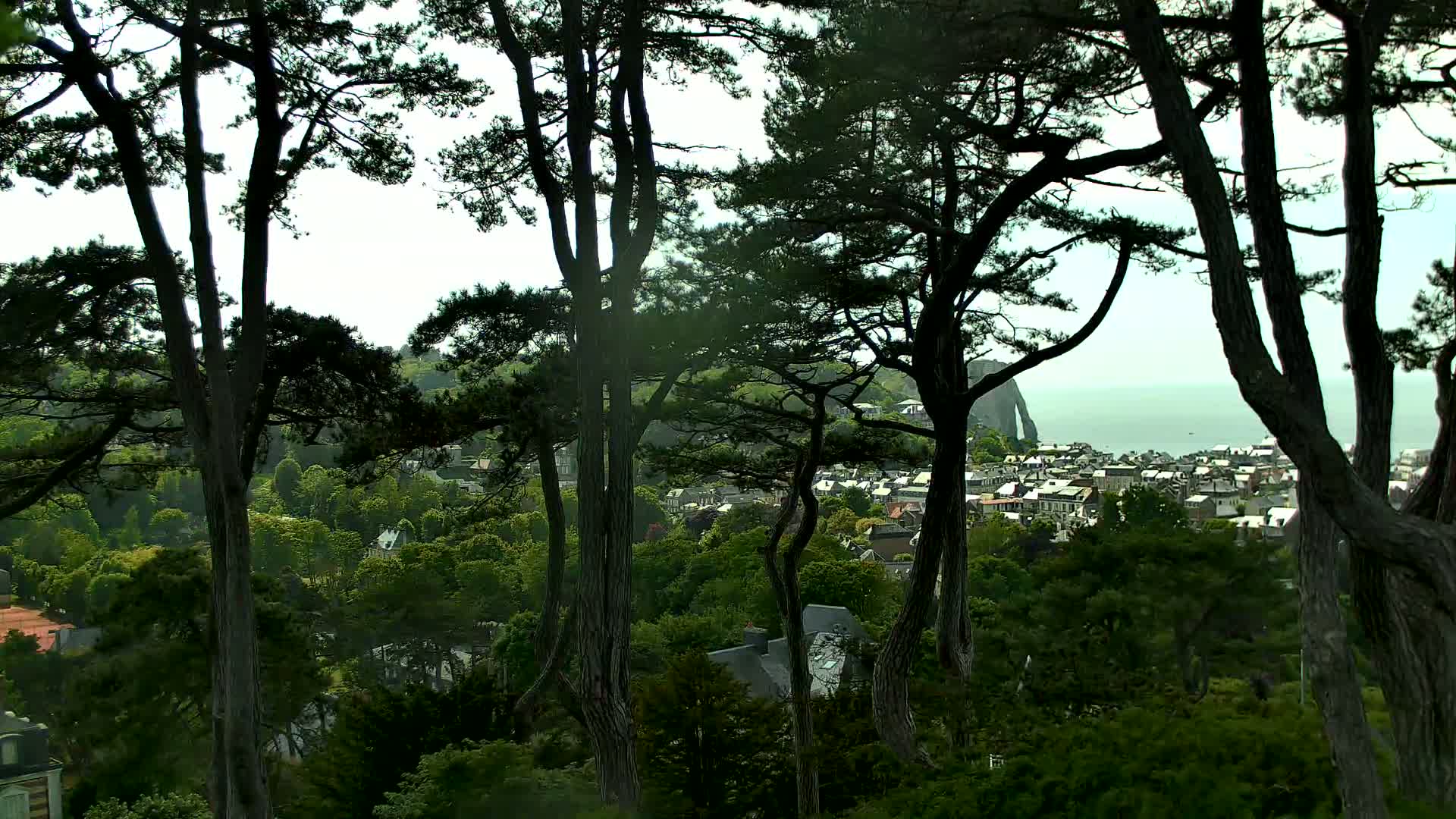 Tall, dark pine trees frame a view of a town nestled among green hills, with a calm ocean visible in the distance on a partly cloudy day.