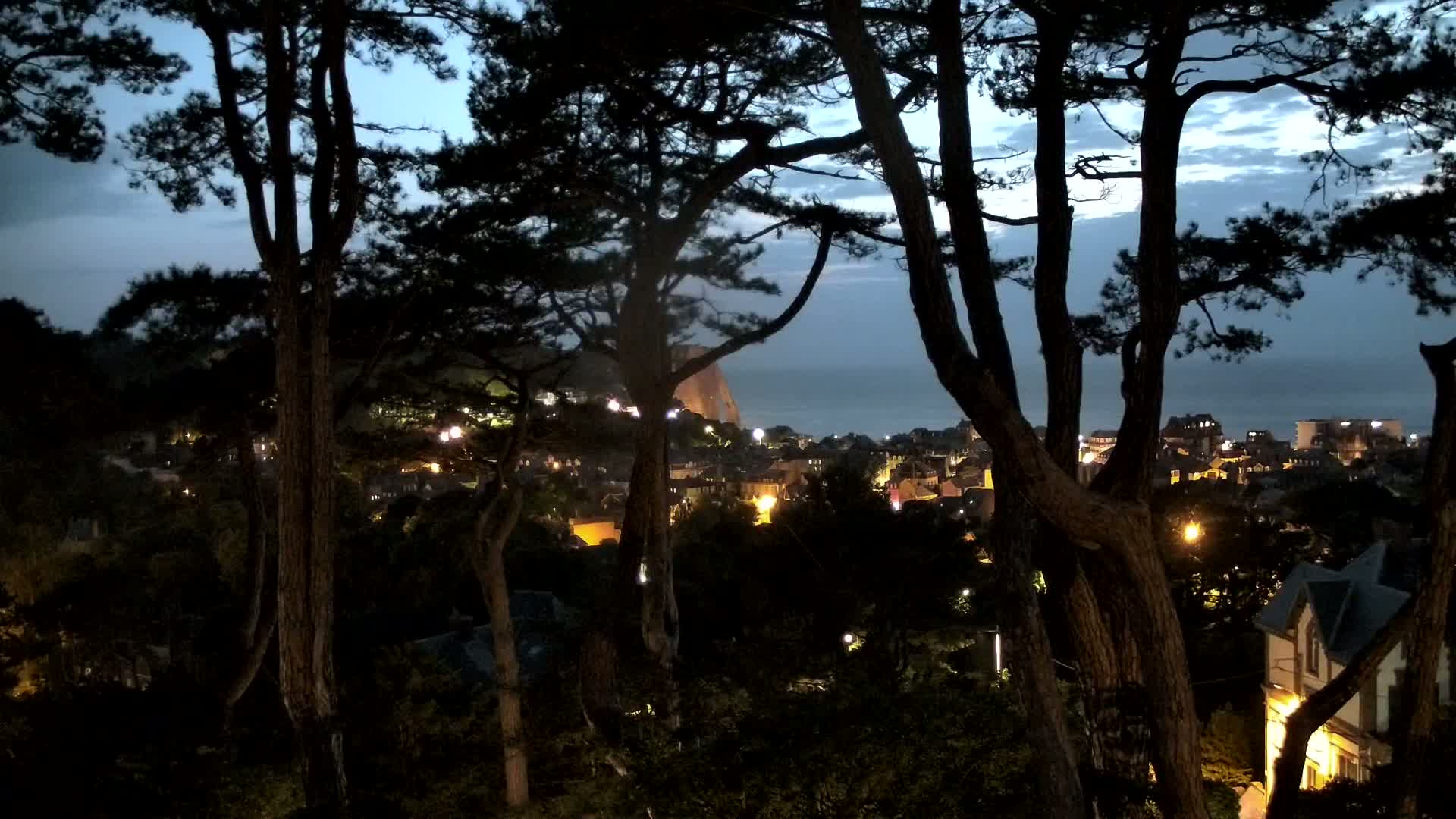 A nighttime view through dark pine trees shows a town with illuminated buildings nestled near a body of water under a twilight sky.