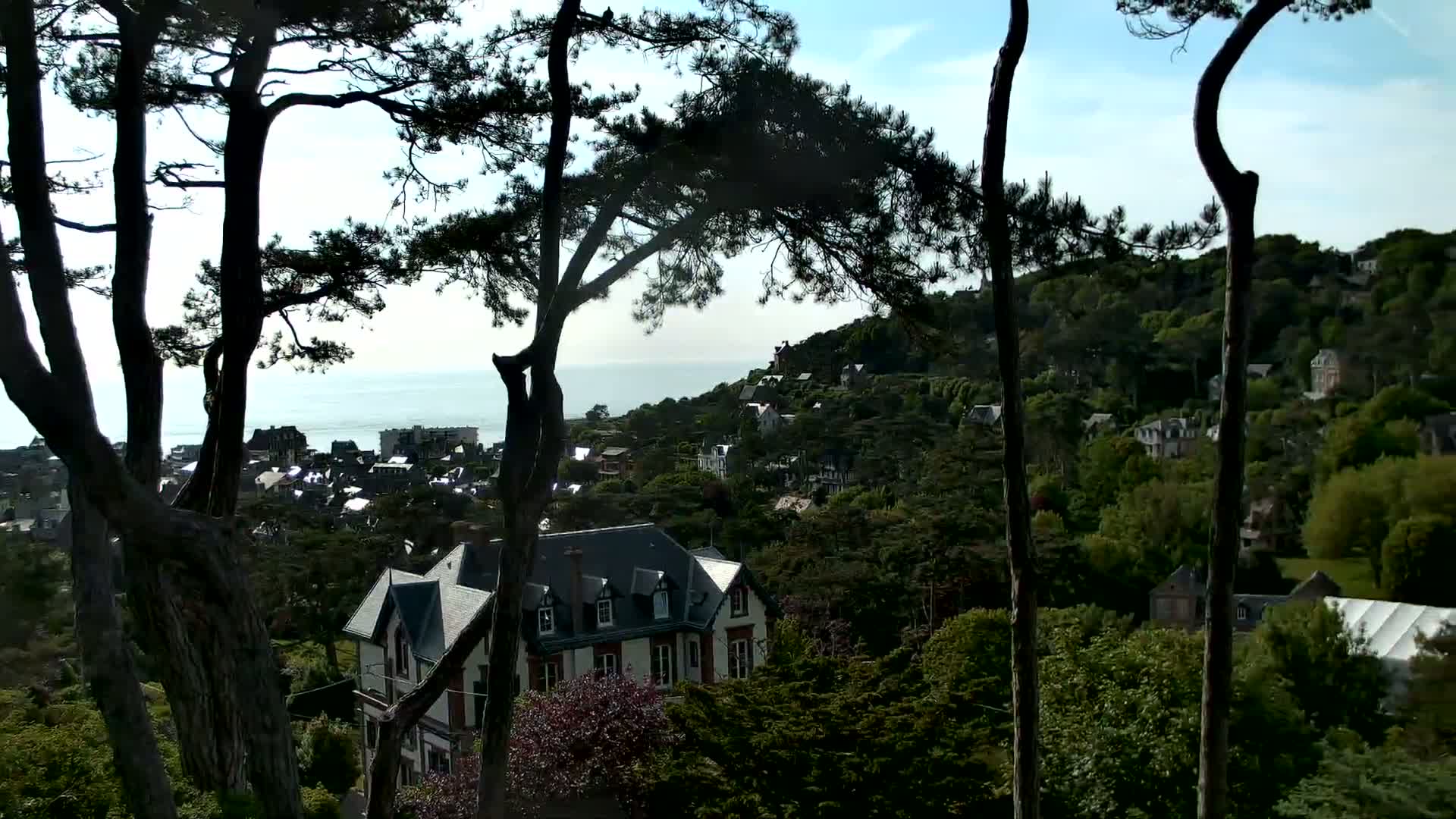 A coastal town nestled on a hillside, partially obscured by tall pine trees, on a partly sunny day with a calm ocean visible in the distance.