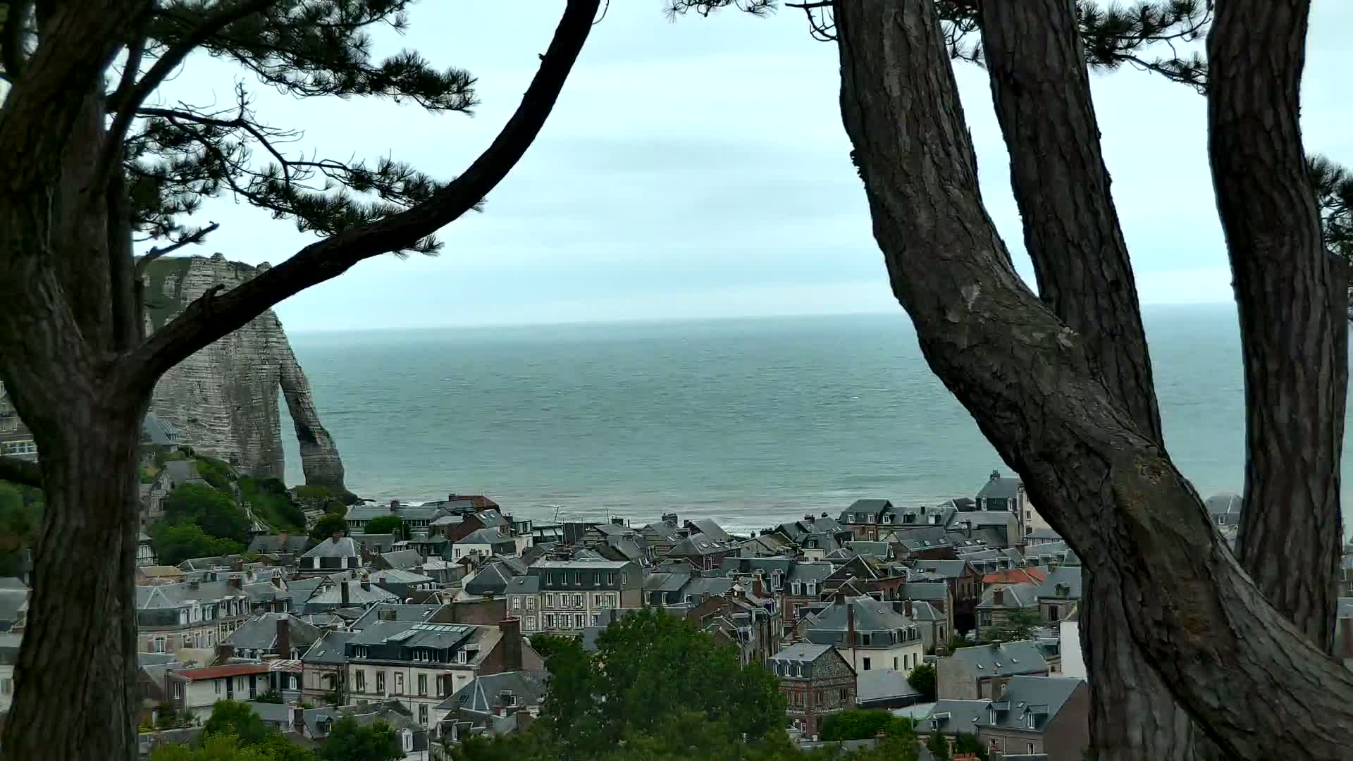 A coastal town with gray-roofed buildings is seen from an elevated viewpoint, framed by pine tree trunks, overlooking a calm sea and a large, white cliff.