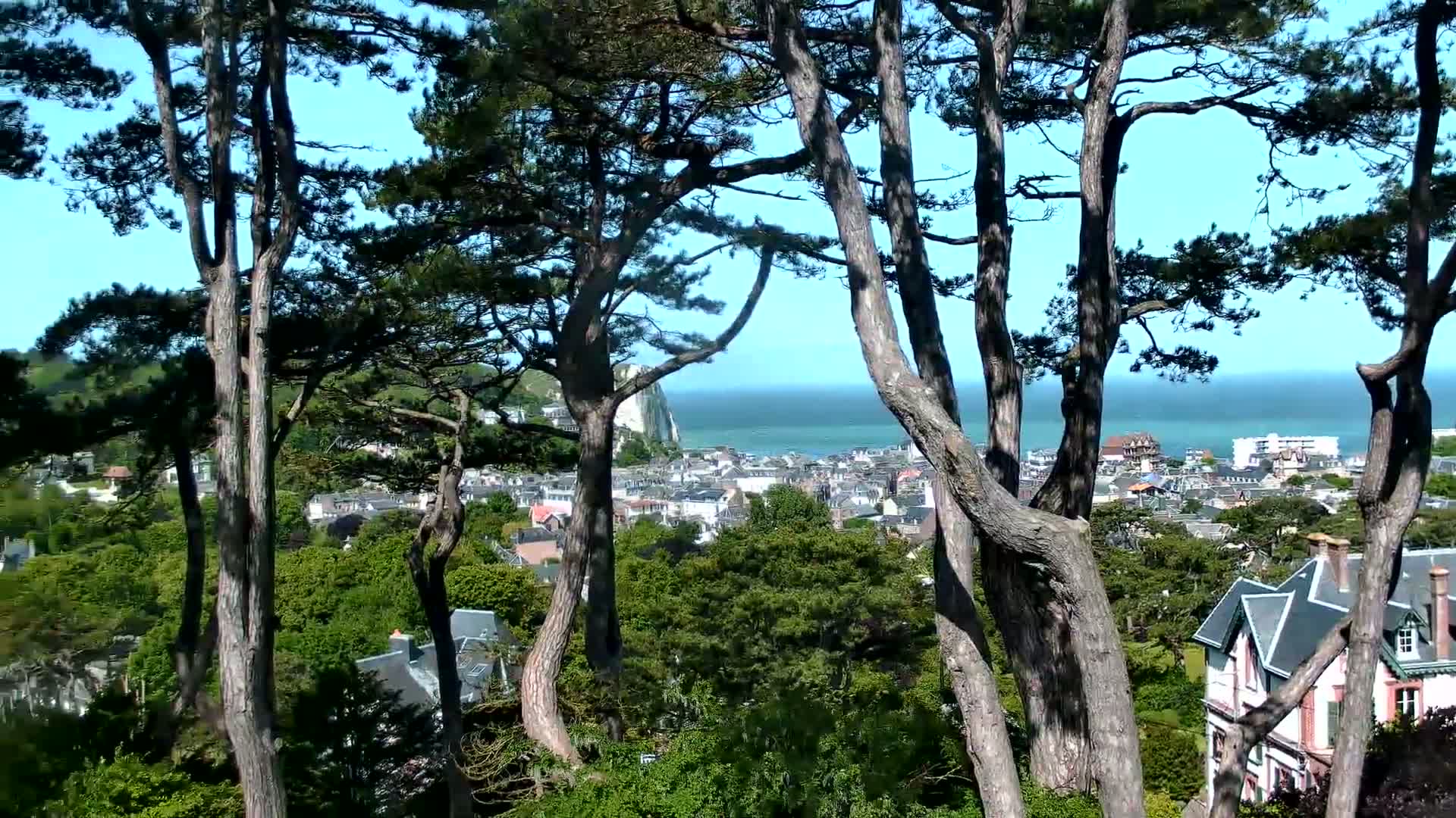 Tall pine trees frame a view of a coastal town nestled amongst green foliage, with a calm ocean and a distant white cliff visible under a clear blue sky.
