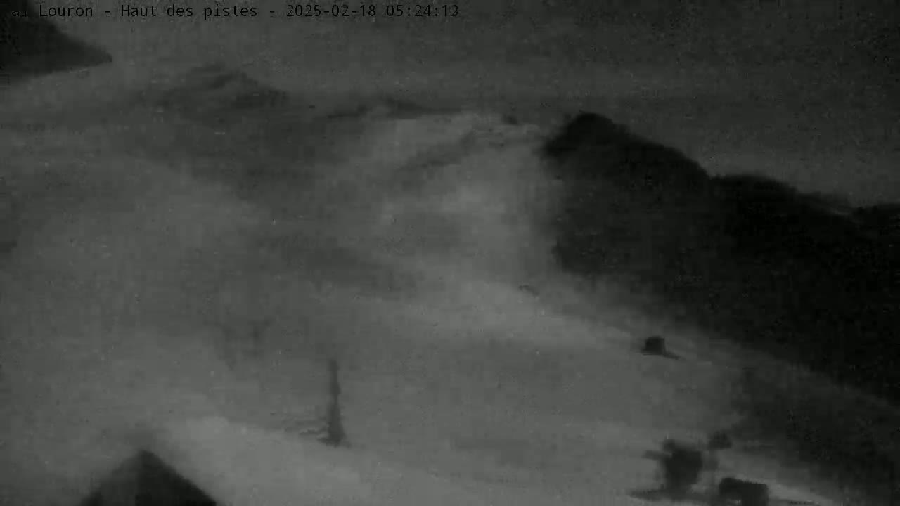 A nighttime, snowy scene shows a blurry, snow-covered landscape under a dark sky.