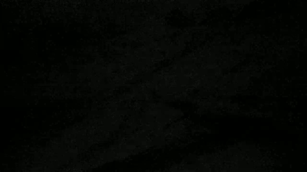 The image is a completely black, textured surface.