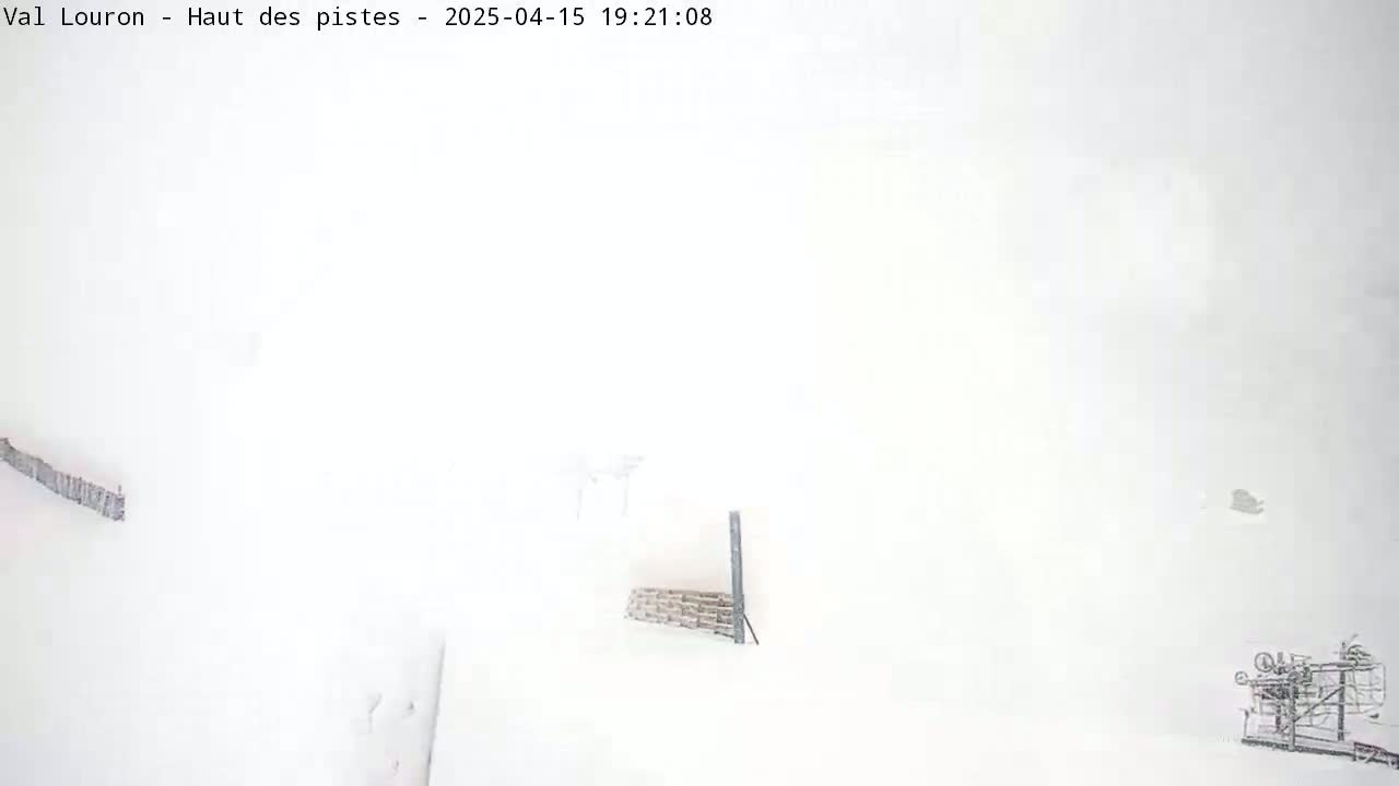 A snow-covered landscape is barely visible through heavy snowfall.