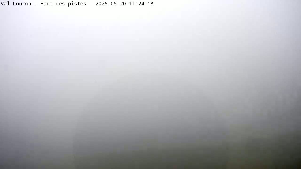 A very thick fog obscures the view of an outdoor scene.
