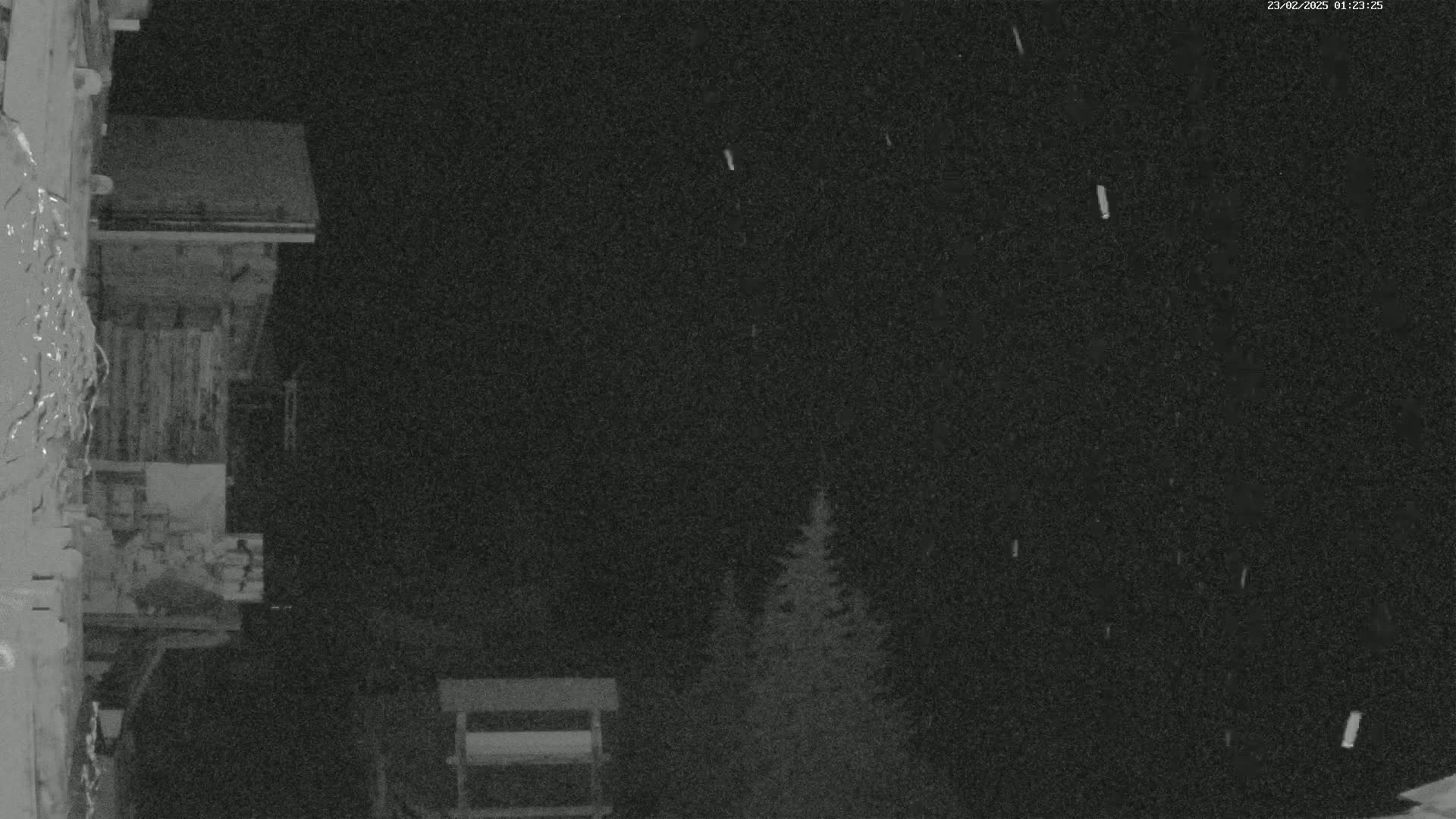 A nighttime, snowy scene shows a snow-covered building and evergreens under a dark sky.