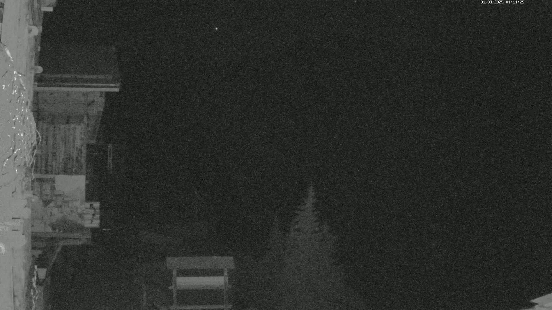 A nighttime, low-light image shows a section of a wooden building to the left, and a couple of evergreen trees to the right, under a clear, dark sky.