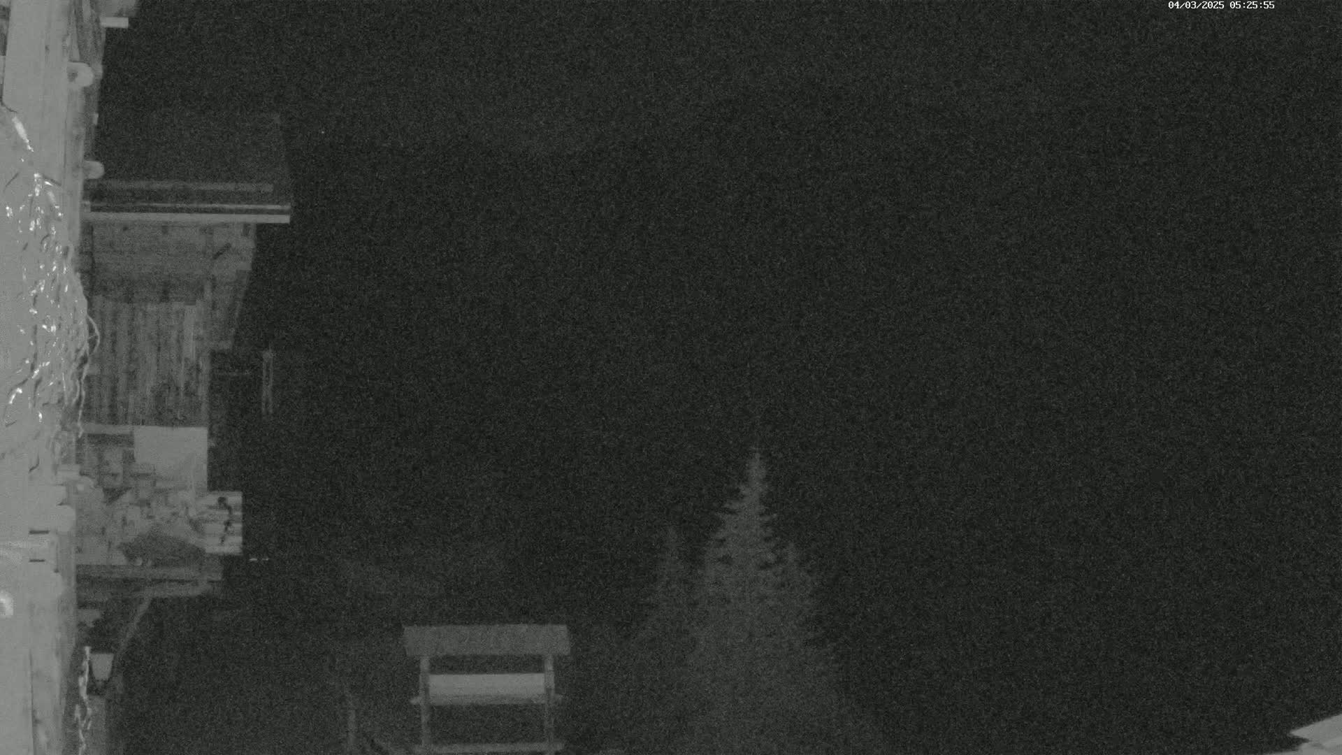 A nighttime, low-light image shows a wooden structure to the left, and some evergreen trees to the right, under a dark sky.