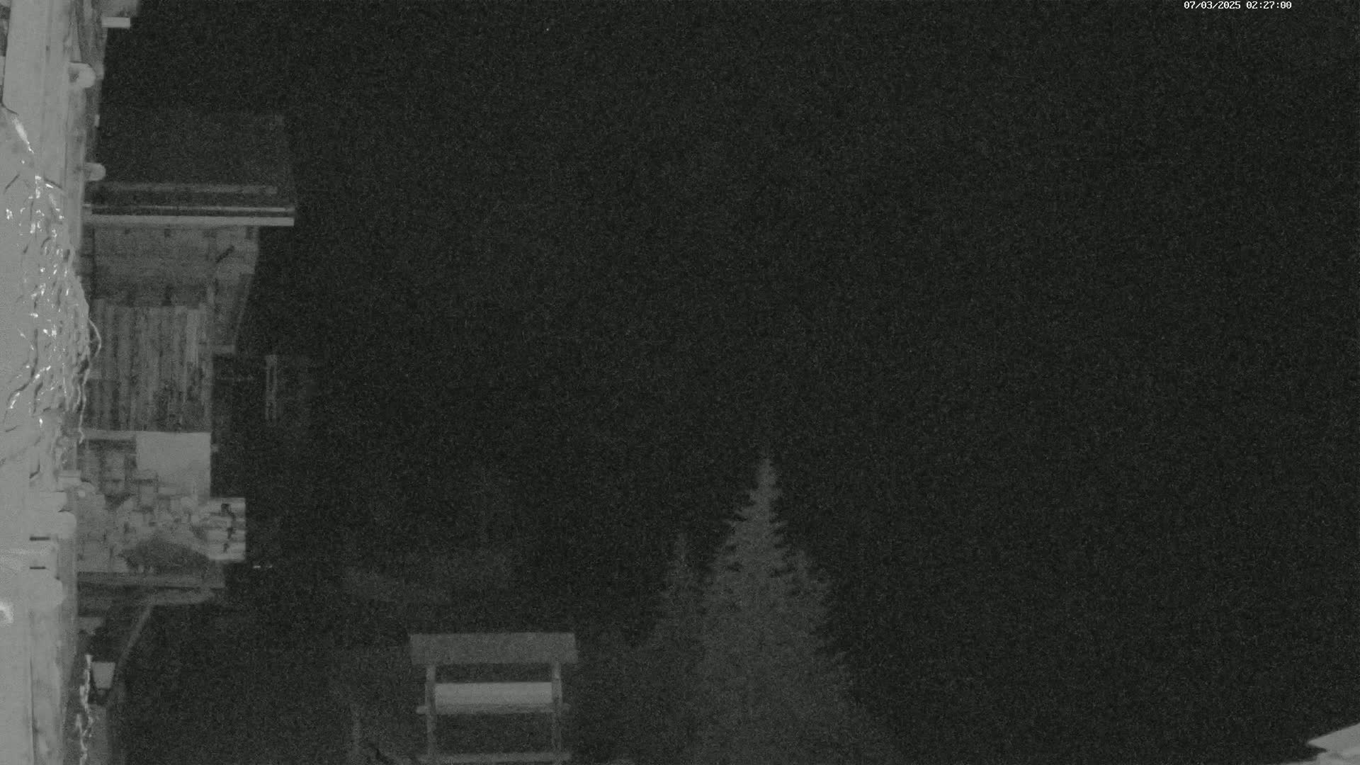 A nighttime, low-light image shows a wooden structure and several evergreens under a dark sky.