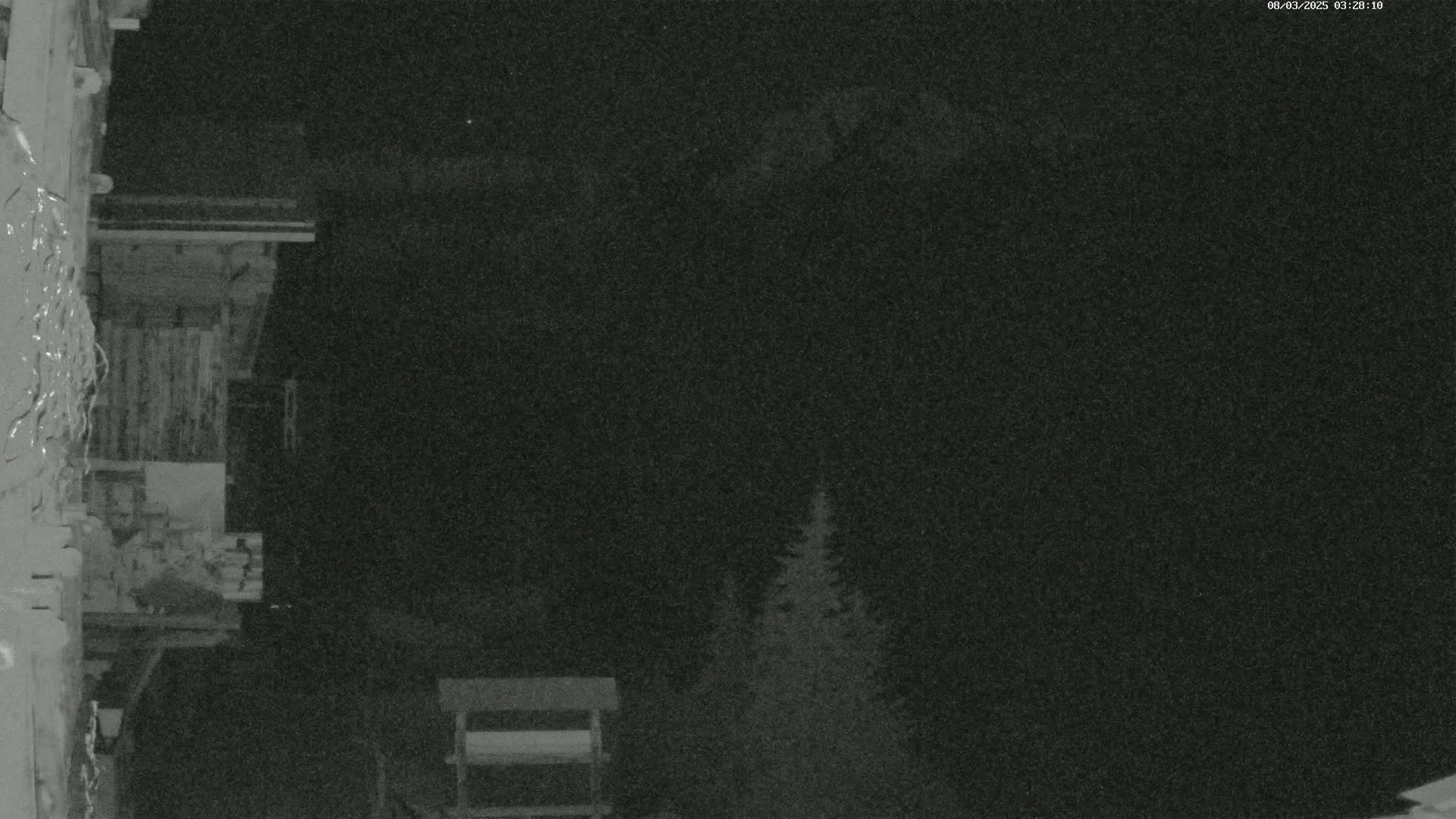A nighttime, low-light image shows a wooden structure to the left, a dark, cloudy sky, and a few evergreens in the lower right.