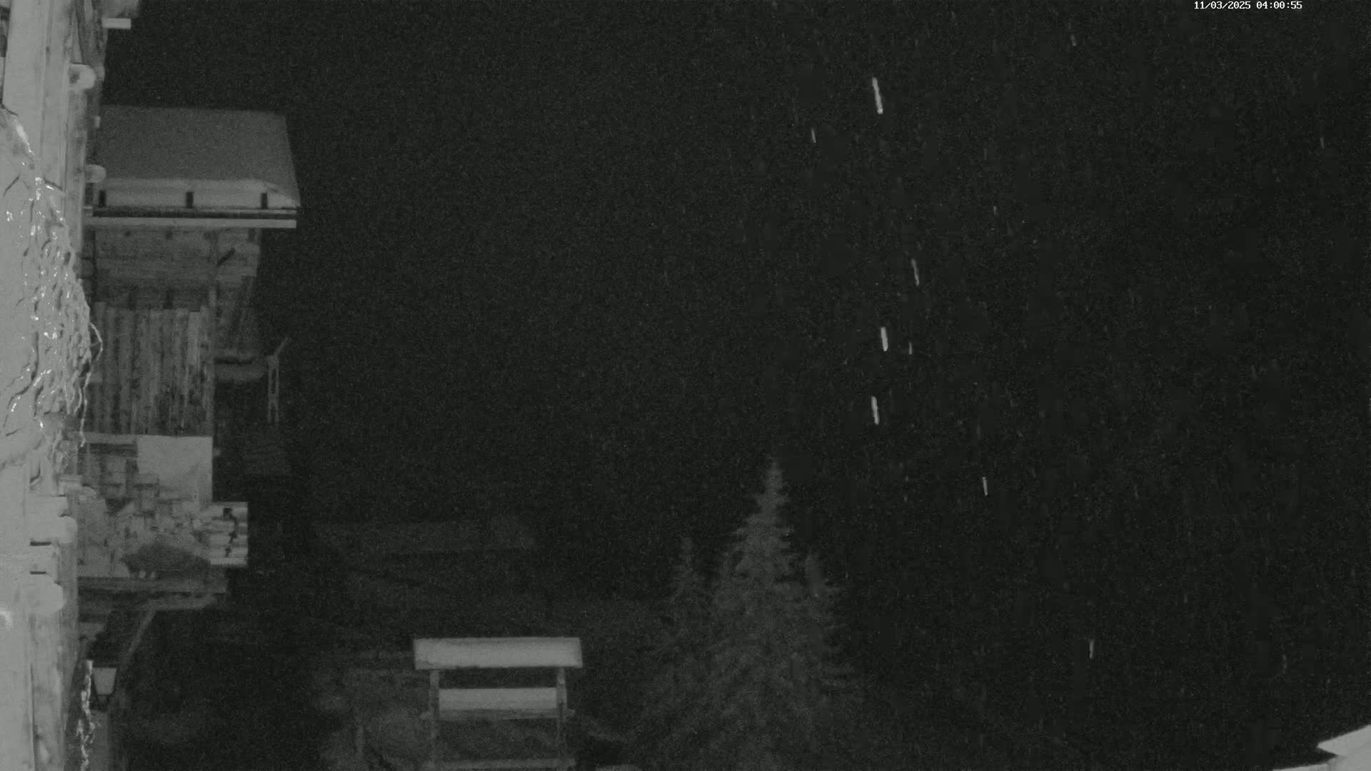 A nighttime, snowy scene shows a snow-covered building and a few evergreens under a falling snow.