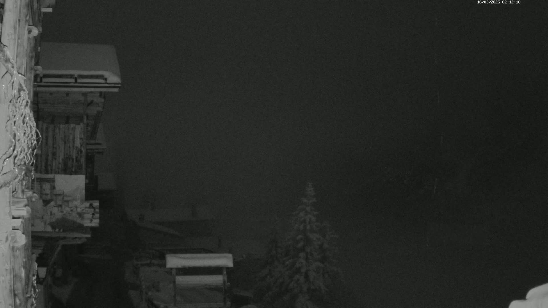 A snow-covered wooden structure is partially visible in the foreground, with snow-covered trees and a dark, foggy night sky in the background.