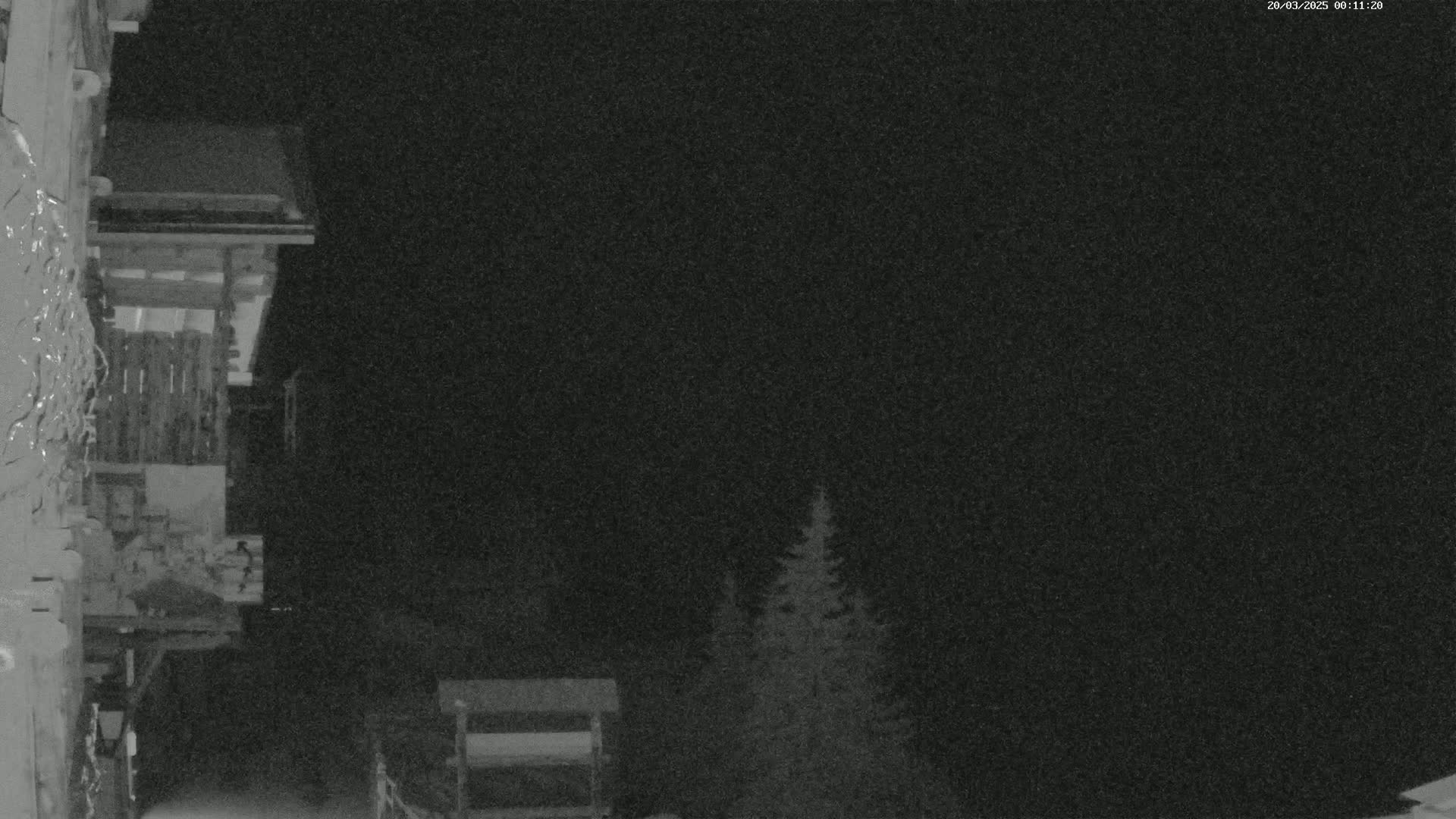 A nighttime, low-light image shows a wooden structure partially covered in snow, with evergreens in the background under a dark sky.