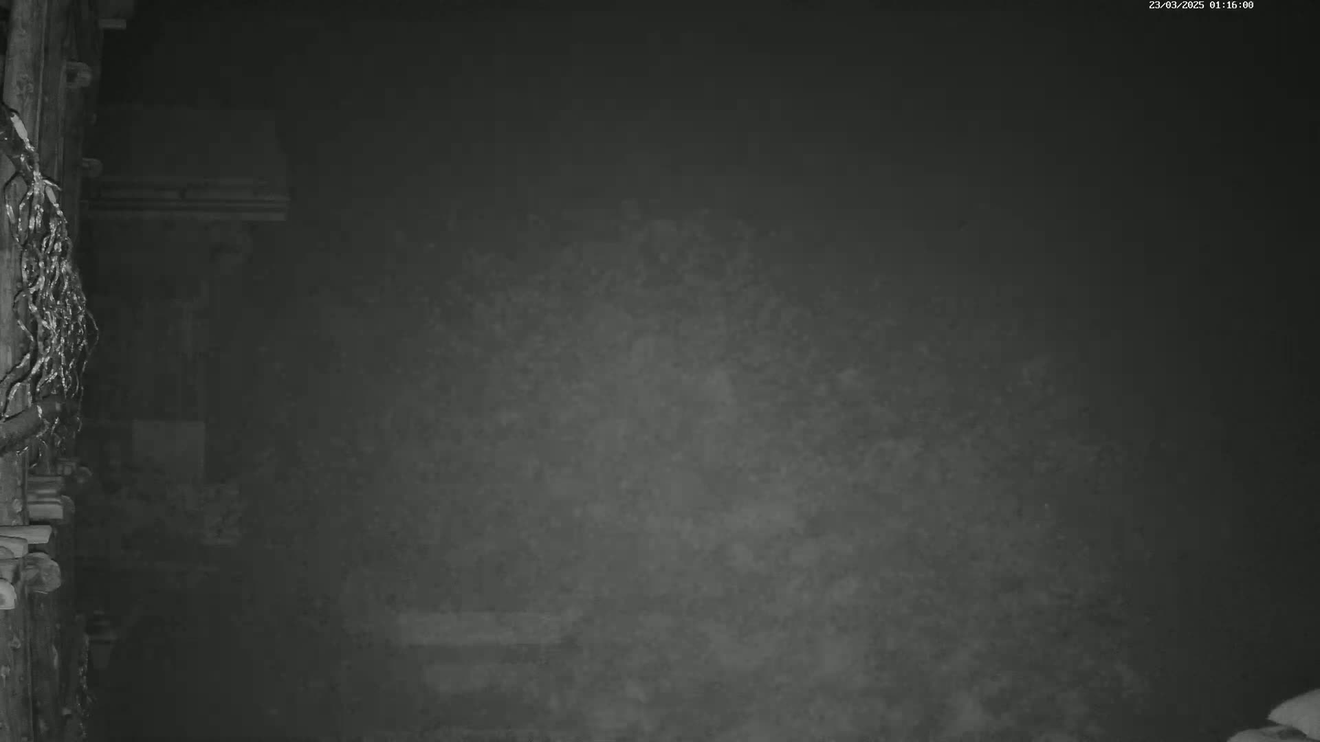 A dark, snowy scene is visible at night, partially obscured by what appears to be a wooden structure and a tangled mass of material on the left.