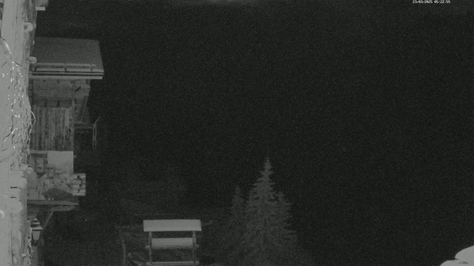 A nighttime, low-light image shows a wooden building with a balcony, a small structure resembling a feeder, and a couple of evergreen trees in the background under a dark, clear sky.