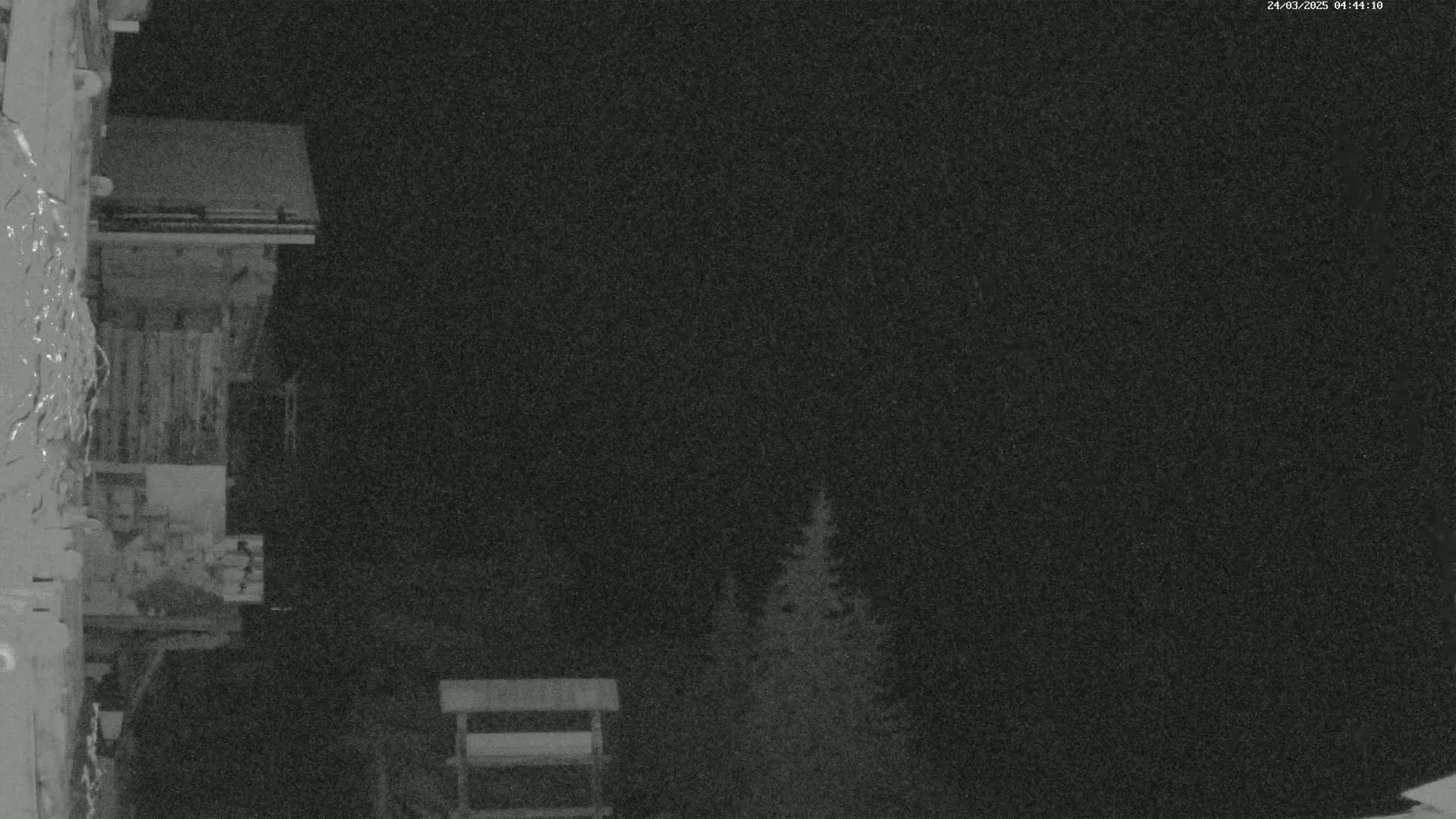 A nighttime, low-light image shows a wooden building, a small structure resembling a bird feeder, and some evergreens under a dark sky.