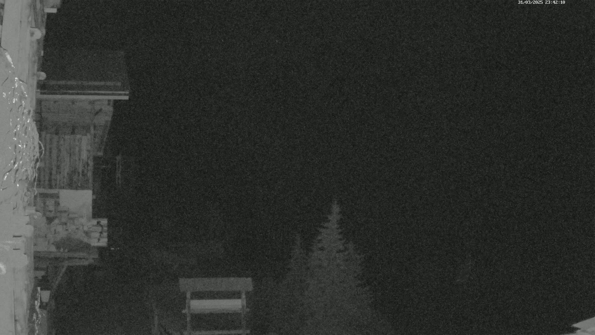 A nighttime, low-light image shows a wooden building and a few evergreens under a dark sky.