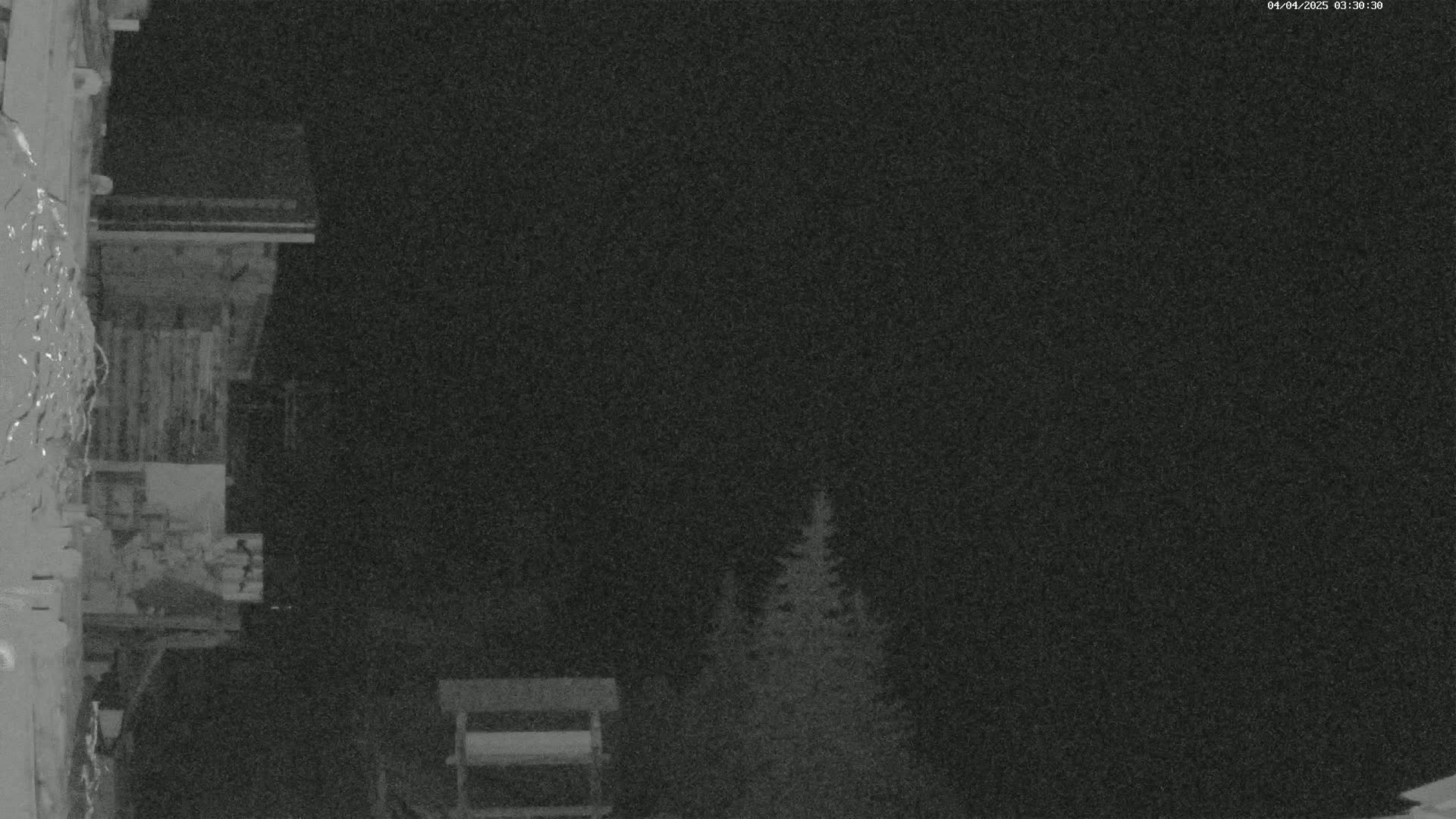 A nighttime, low-light image shows a wooden structure to the left, and a couple of evergreen trees in the distance under a dark sky.