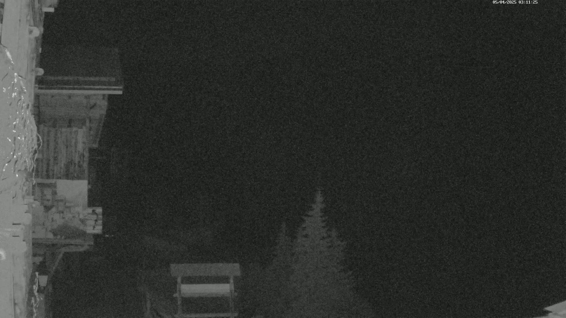 A nighttime view shows a wooden structure to the left, a small bird feeder in the bottom center, and a couple of evergreens in the background under a dark, clear sky.