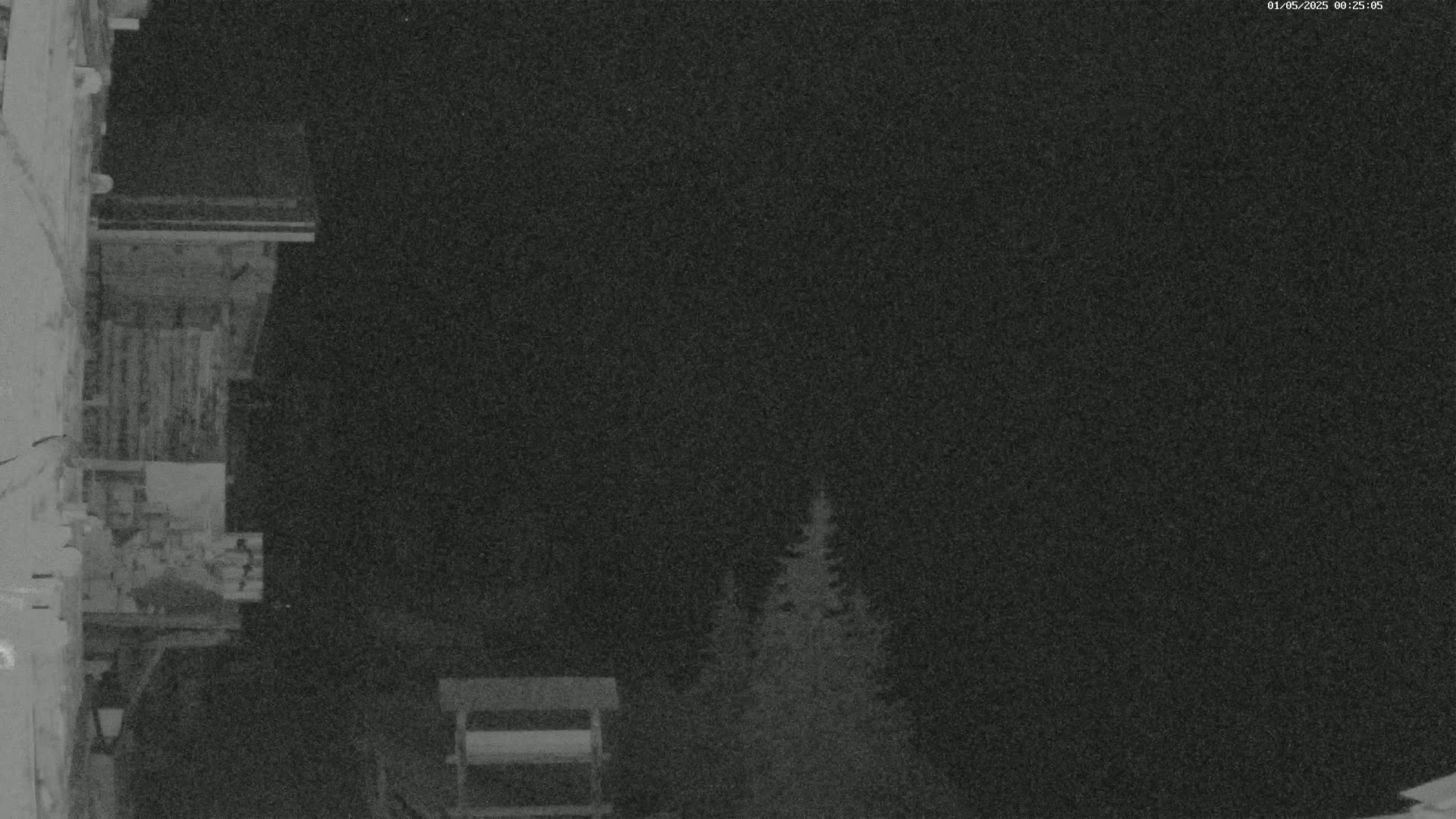 A nighttime, low-light image shows a portion of a building's exterior with a wooden structure, and some evergreen trees in the background.