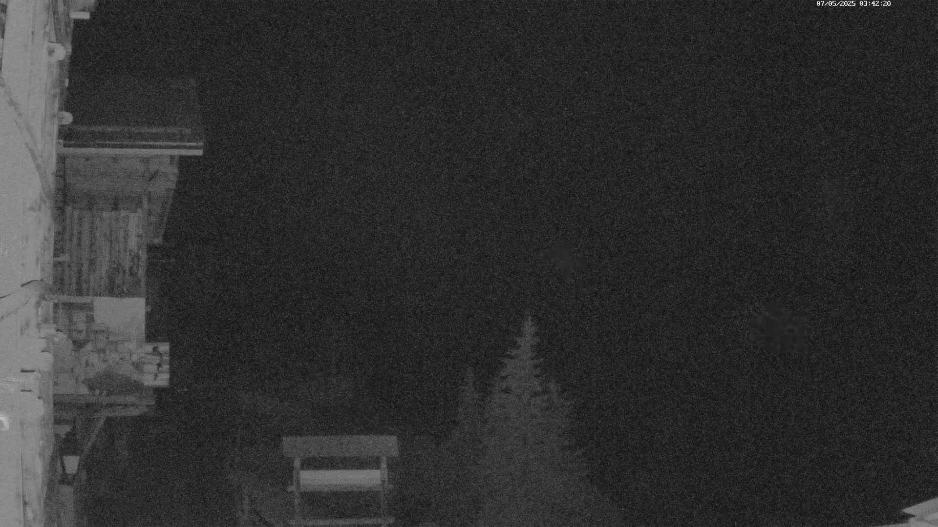 A nighttime, low-light image shows a wooden structure at the left, some evergreens at the right, and a dark sky.