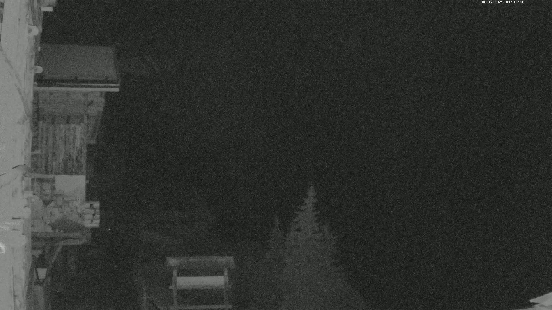 A nighttime, low-light image shows a wooden structure to the left, with some evergreens visible in the right-center background under a dark sky.