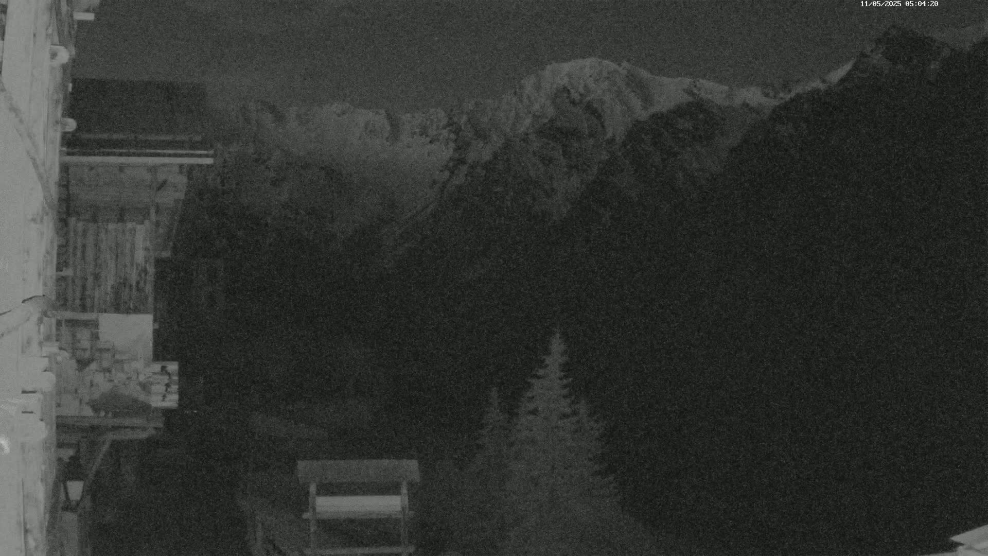 A nighttime view from a building shows snow-capped mountains in the distance, with a few dark evergreen trees in the foreground.