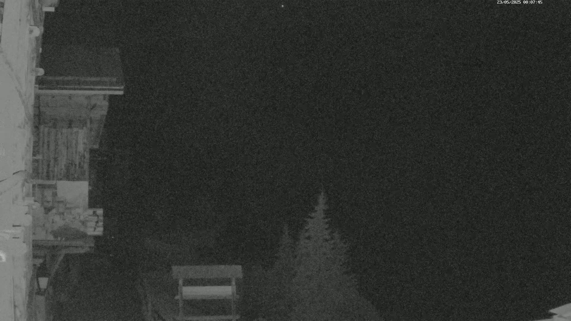 A nighttime, low-light image shows a portion of a building's exterior wall and a small group of evergreen trees in the background under a dark sky.