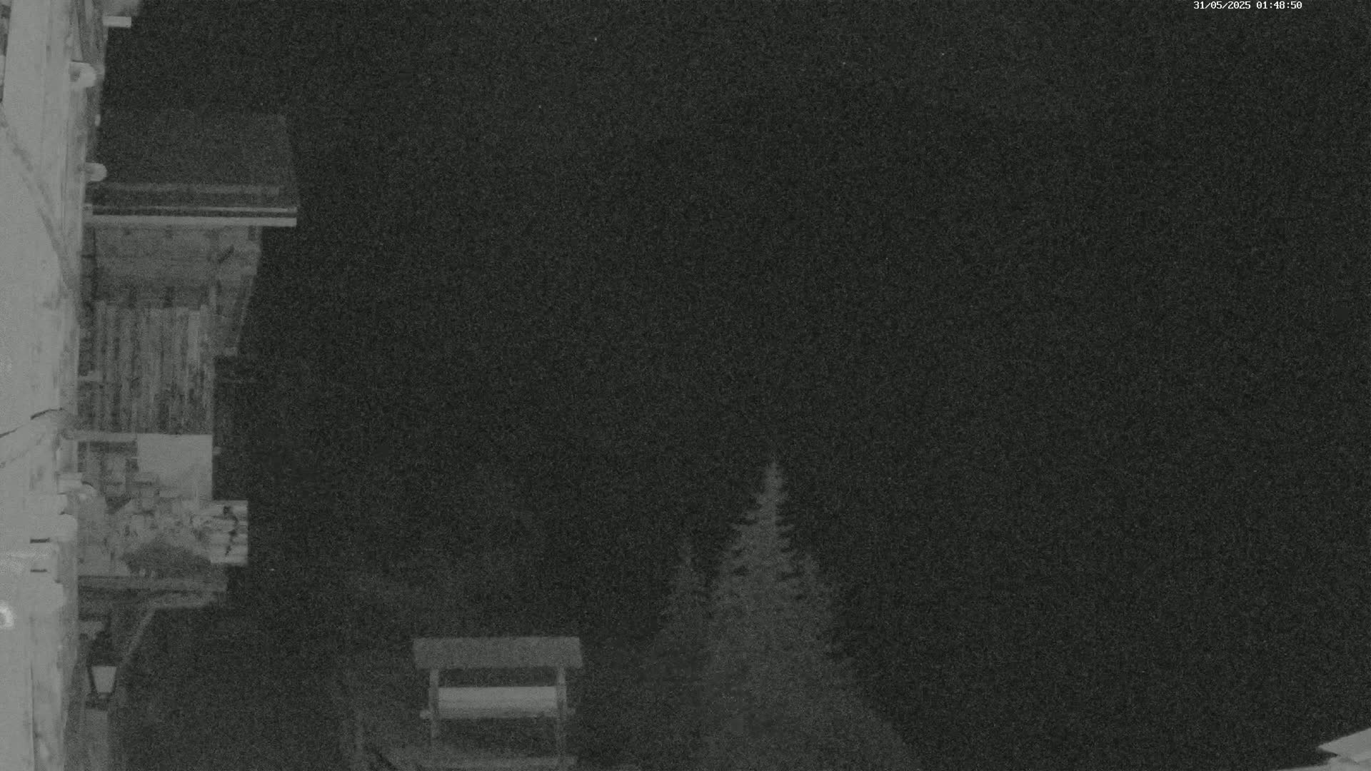 A nighttime, low-light image shows a portion of a wooden building with a small structure and a few evergreens visible in the dark background.