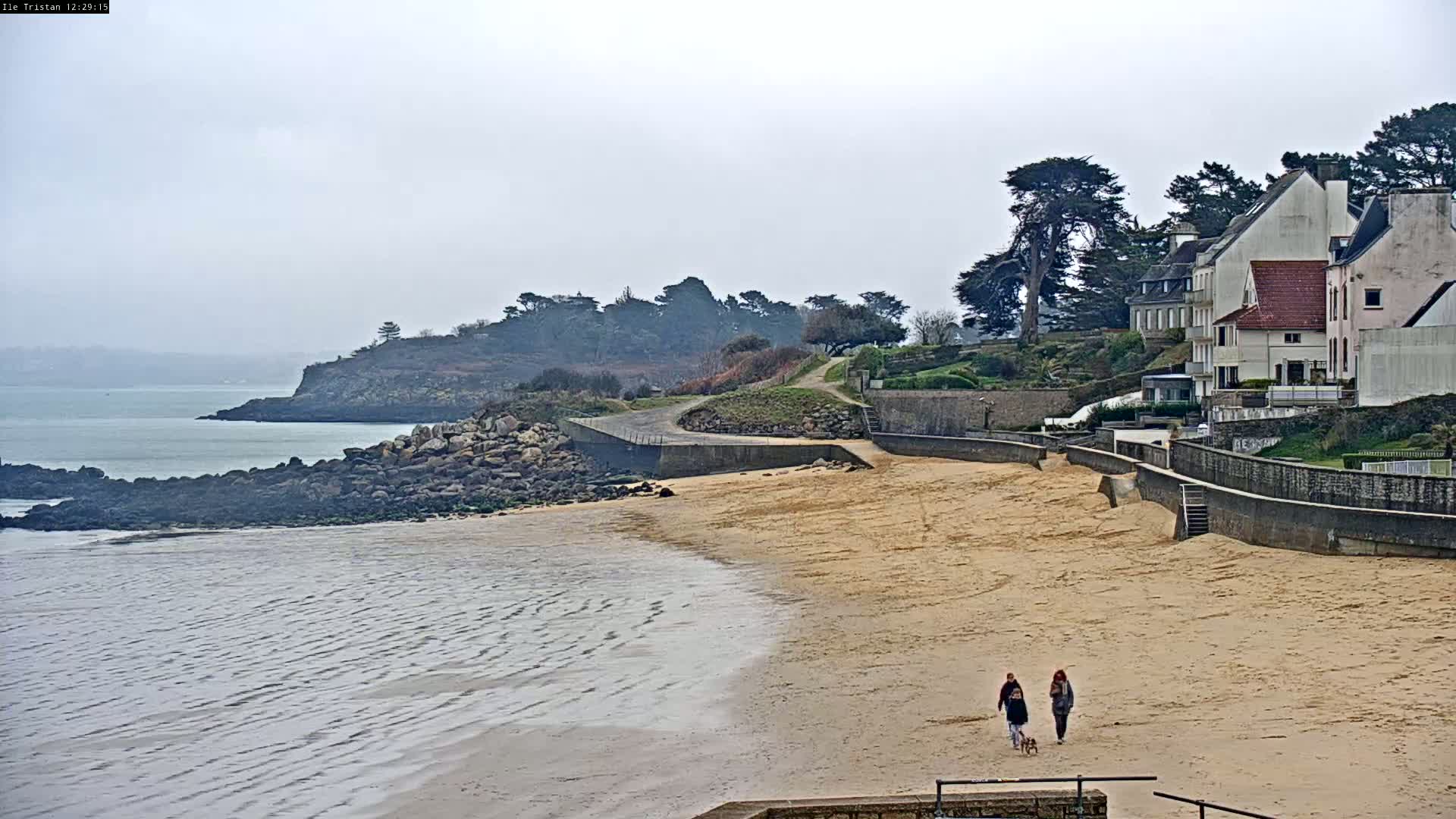 On an overcast day, two people walk a dog on a sandy beach next to a rocky shoreline and a row of houses.