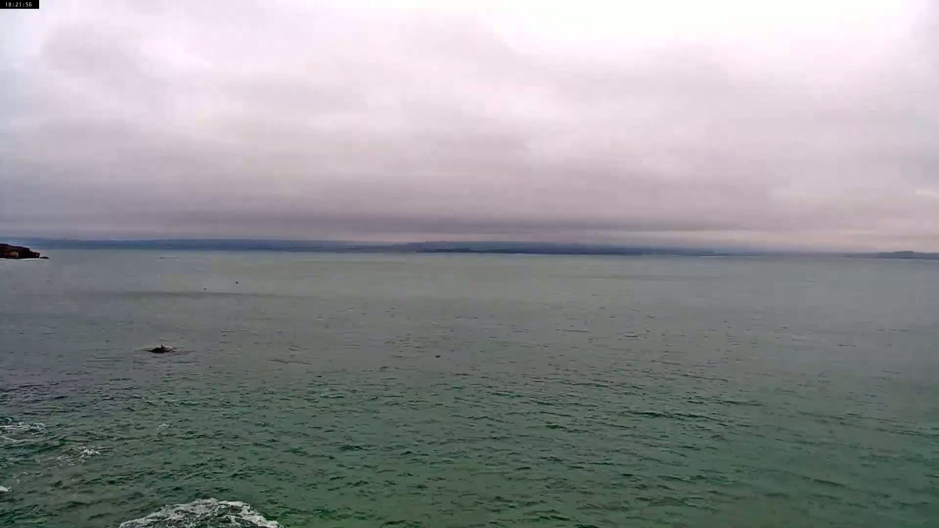 A mostly cloudy day shows a wide expanse of calm, dark-green ocean with a distant shoreline visible under a gray sky.