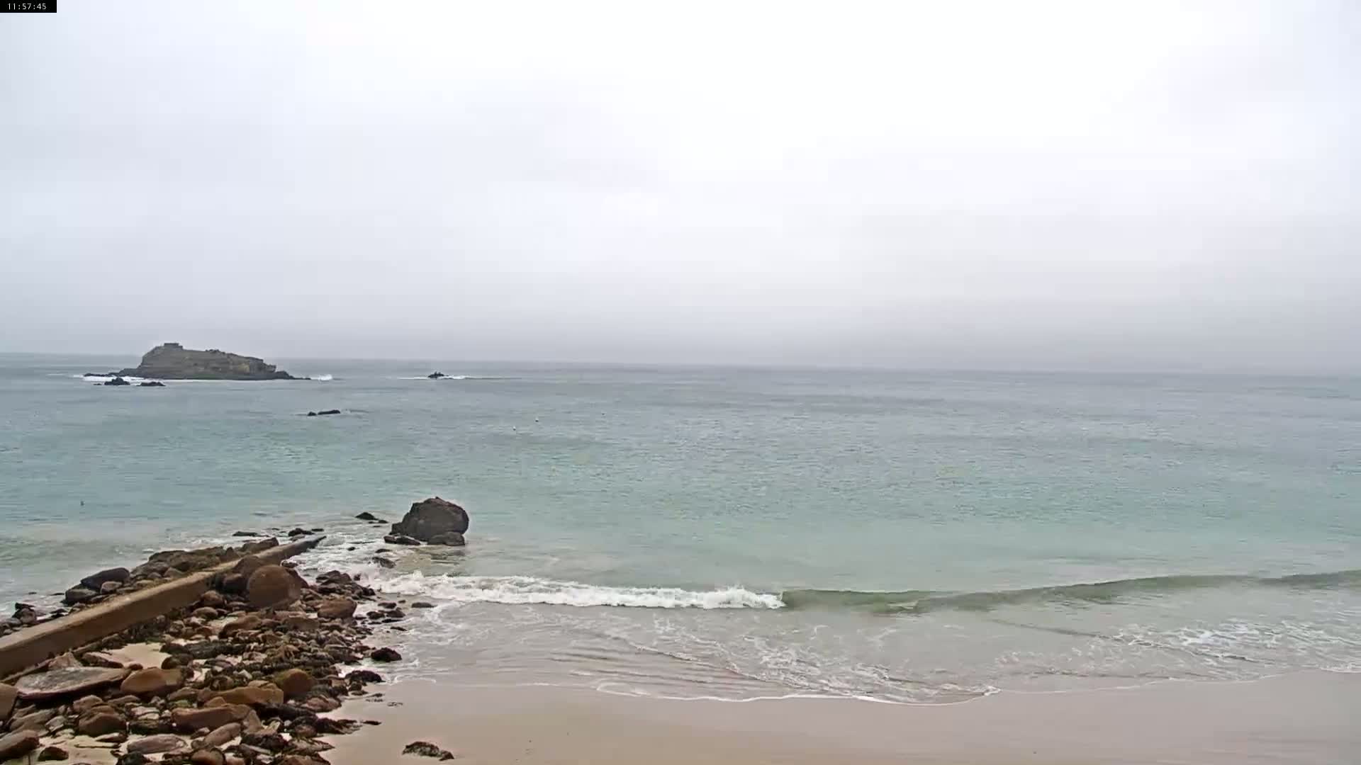 A rocky shoreline meets a calm, light-green ocean under an overcast sky.