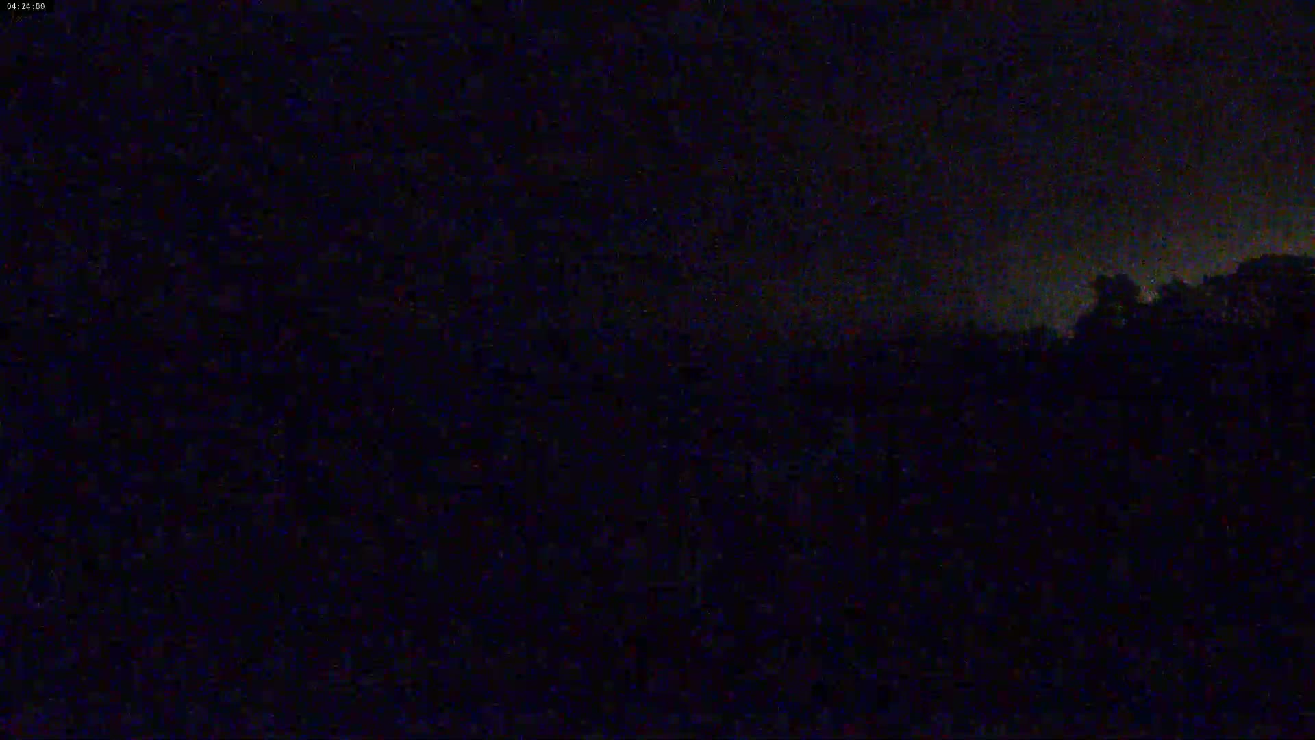 A nighttime, dark outdoor scene shows a silhouetted line of trees under a mostly cloudy sky.