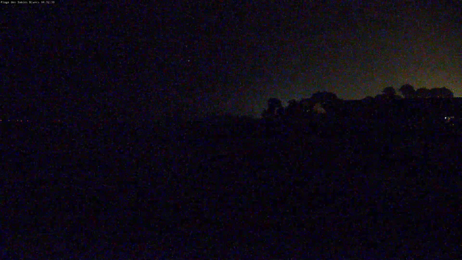 A dark, nighttime scene shows a silhouetted line of trees under a mostly clear sky.